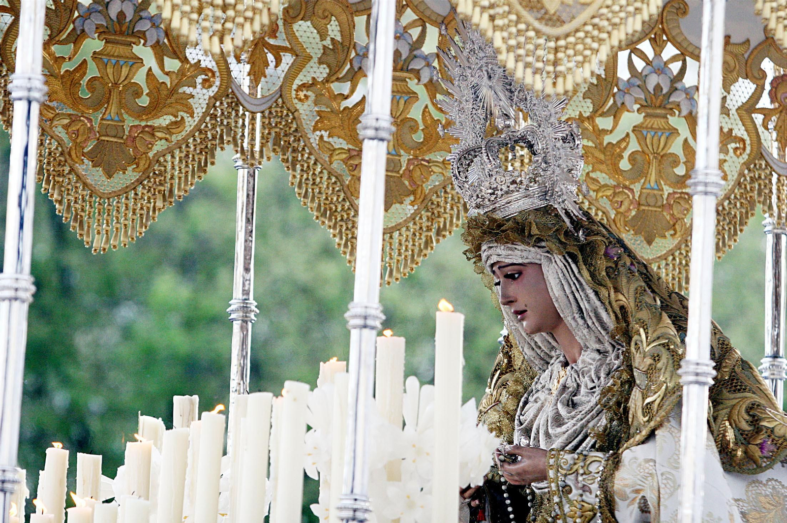 Paso de palio de la Virgen de la Paz, Domingo de Ramos de 2008
