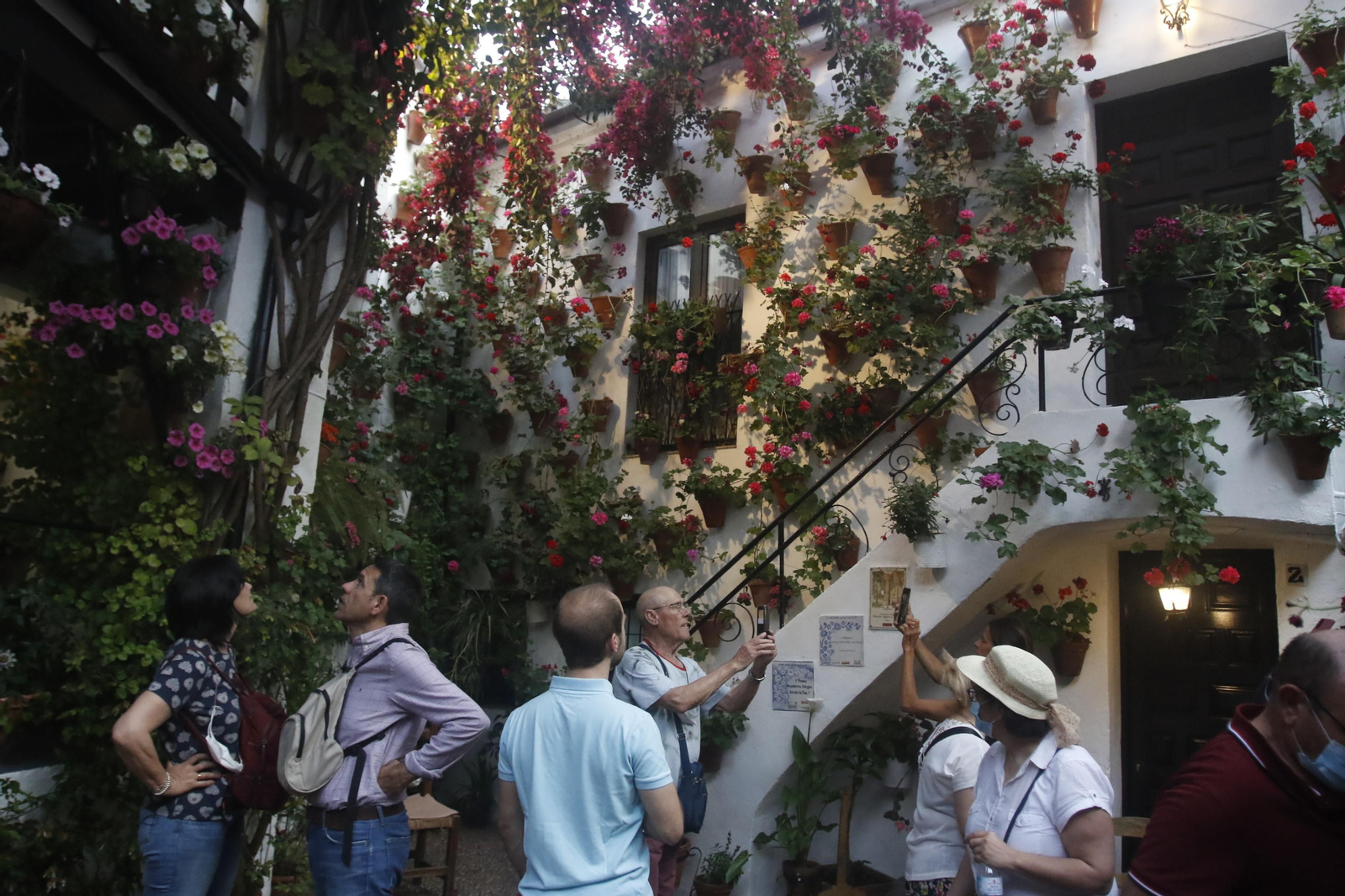 Patio de Martín de Roa, 7