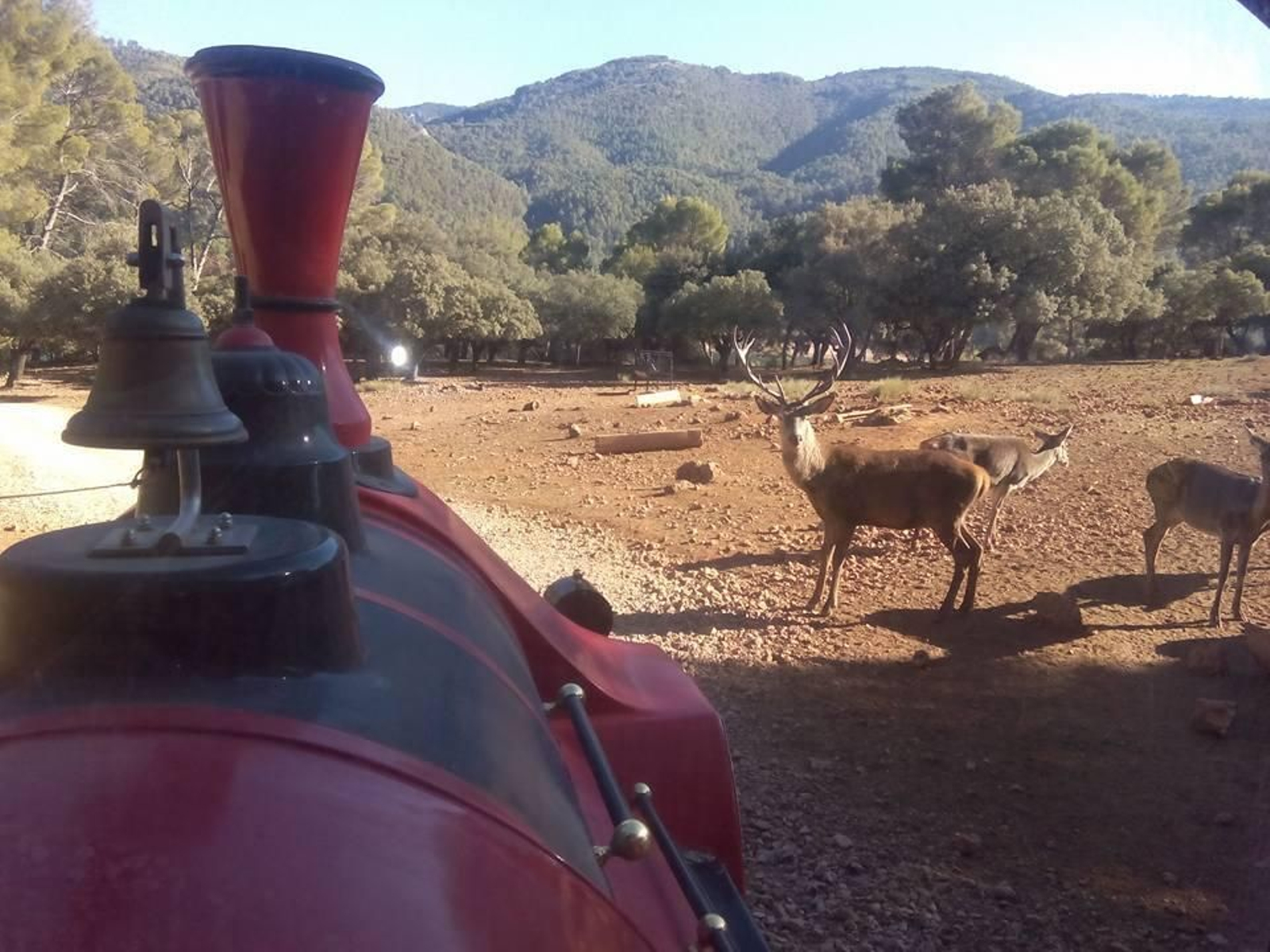 Parque cinegético del Collado del Almendral