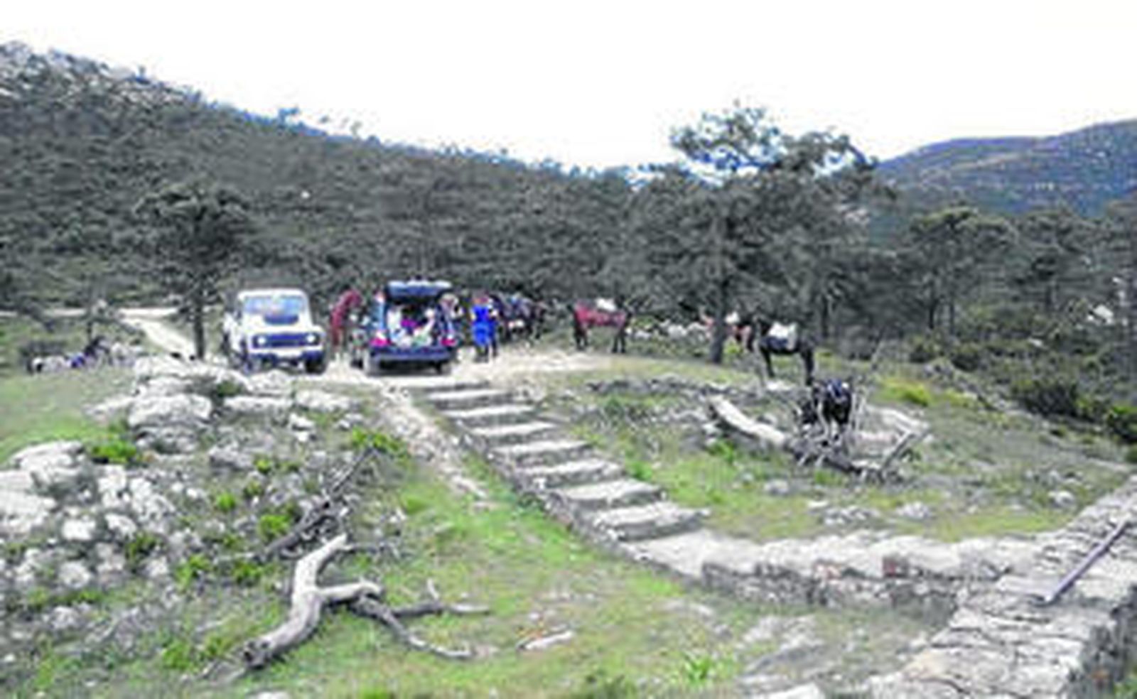 Los vehículos y caballos, ayer en Hoyo de Don Pedro.