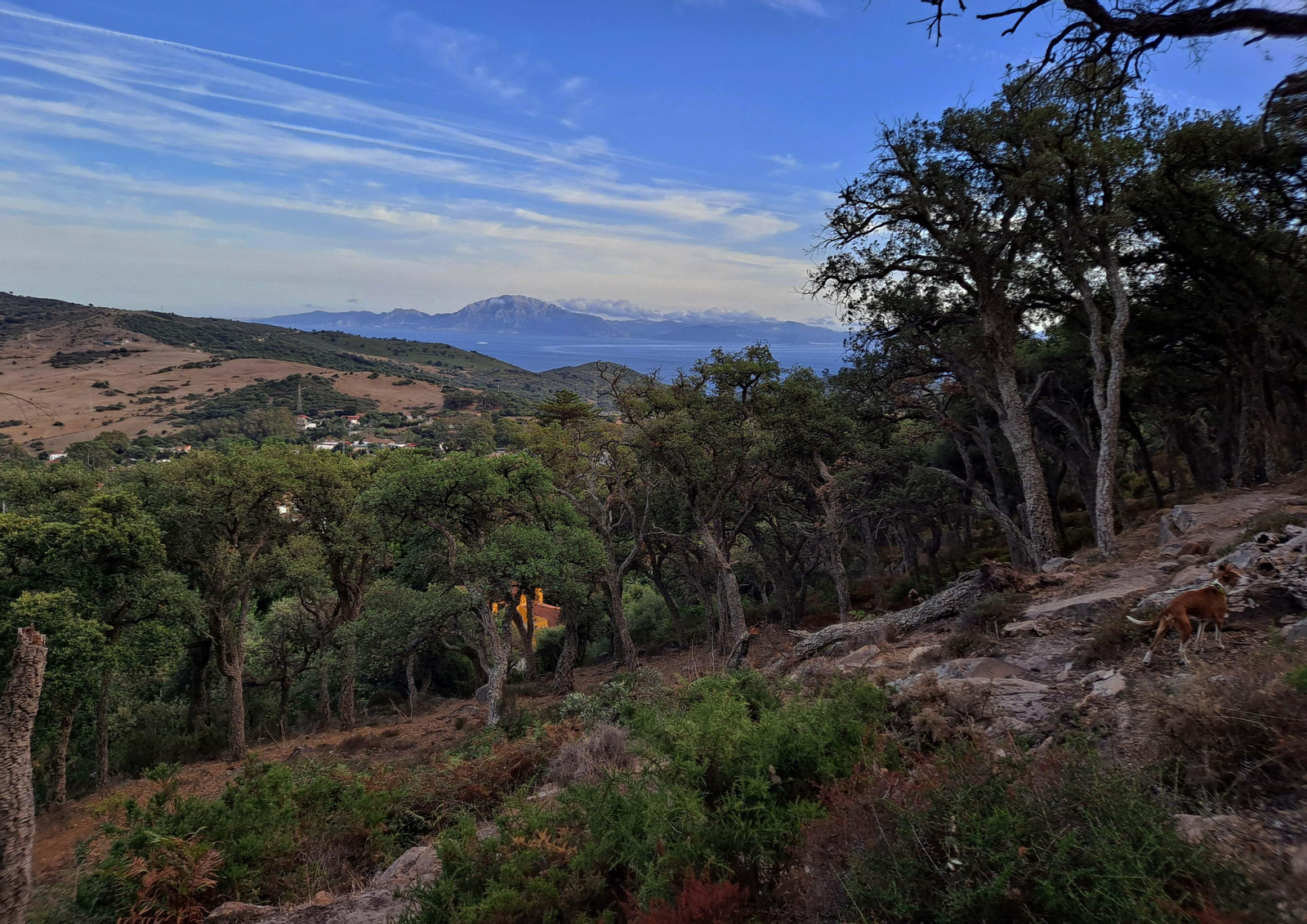 Fotos del sendero del Chorro de Pelayo en Algeciras