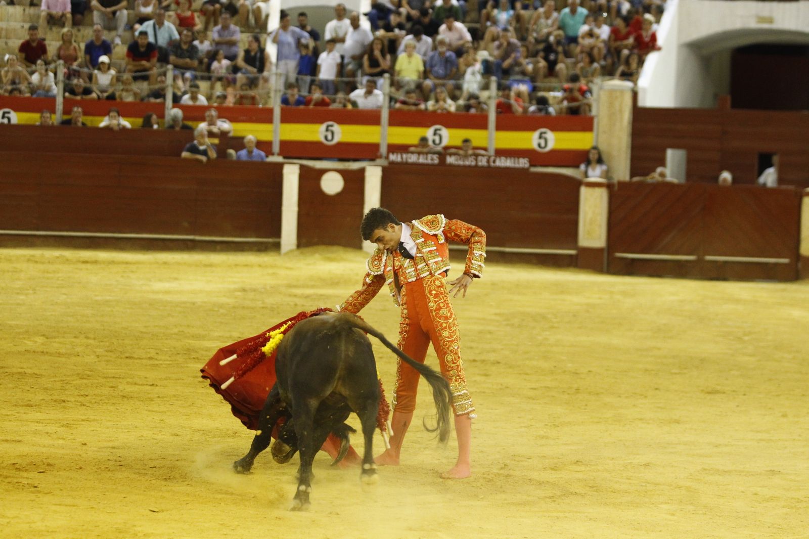 Imágenes de la novillada organizada por la Escuela Taurina de Almería