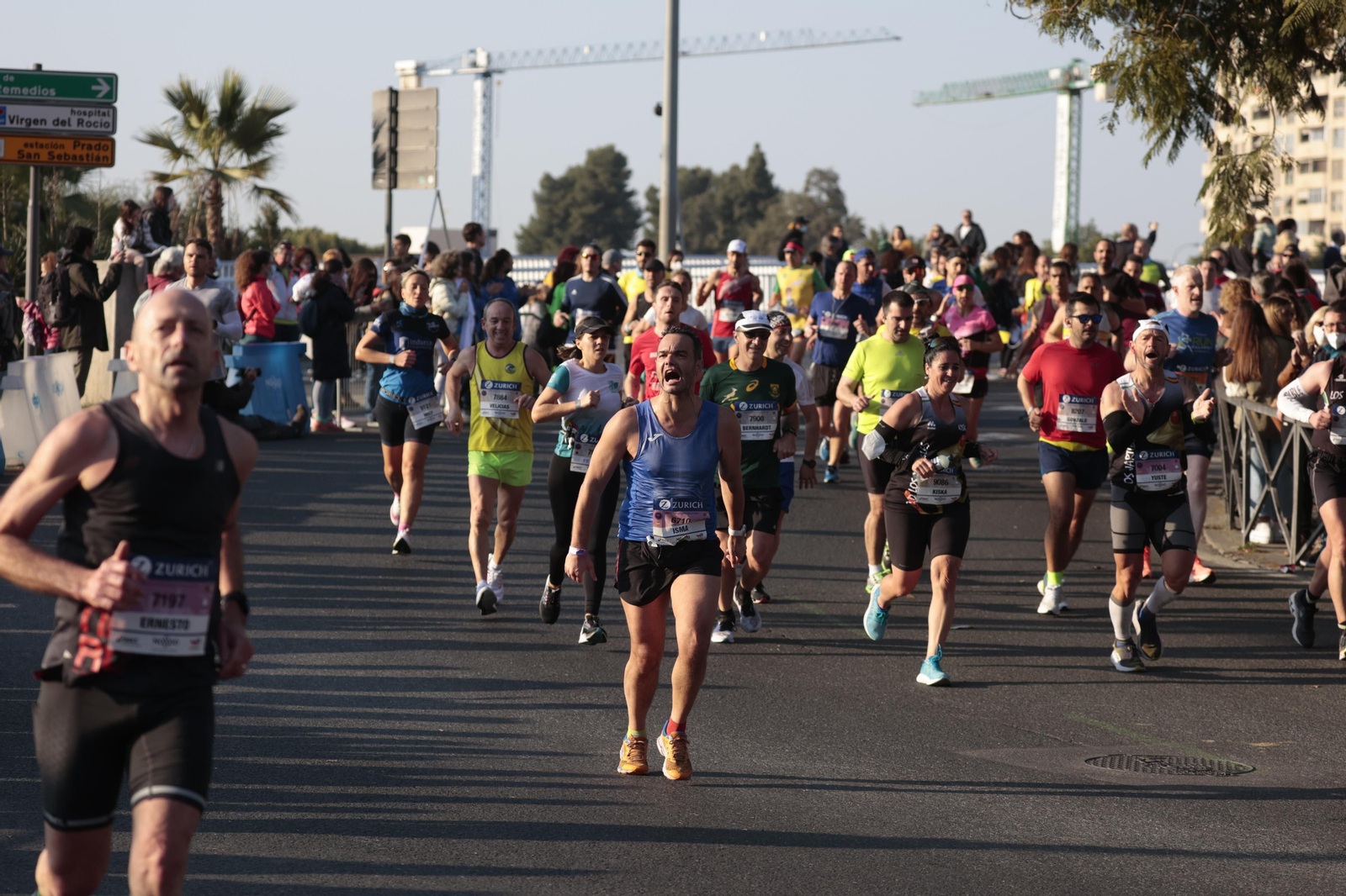 Las imágenes de la Maratón de Sevilla 2022 (10)