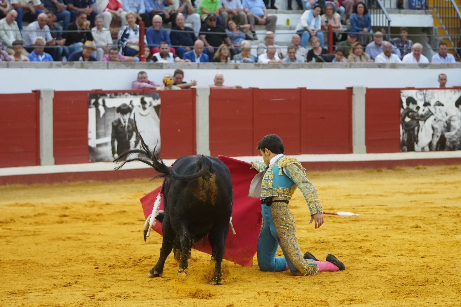El mano a mano de los novilleros José Antonio de Gracia y El Candela en Pozoblanco, en imágenes