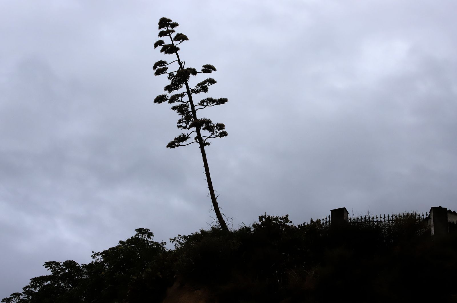 Imágenes del domingo 3 de septiembre en Huelva