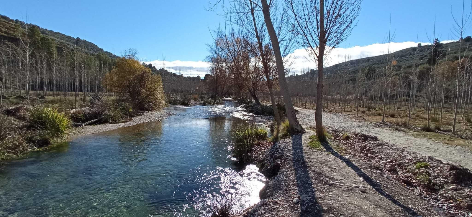 Las imágenes de la ruta del Bosque Encantado de Higueras