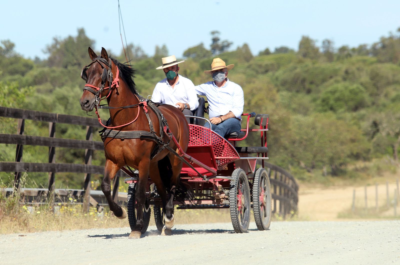 Imágenes del sábado 15 de mayo en Huelva