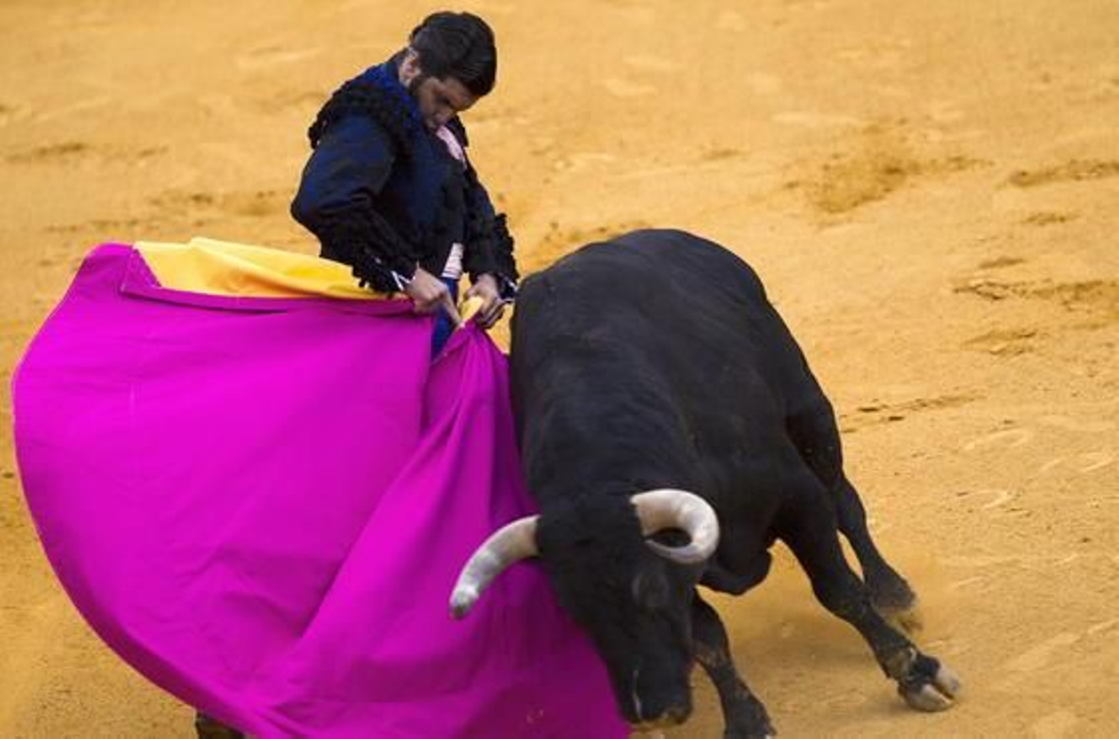 La Feria de San Miguel de Sevilla, epicentro taurino del fin de semana
