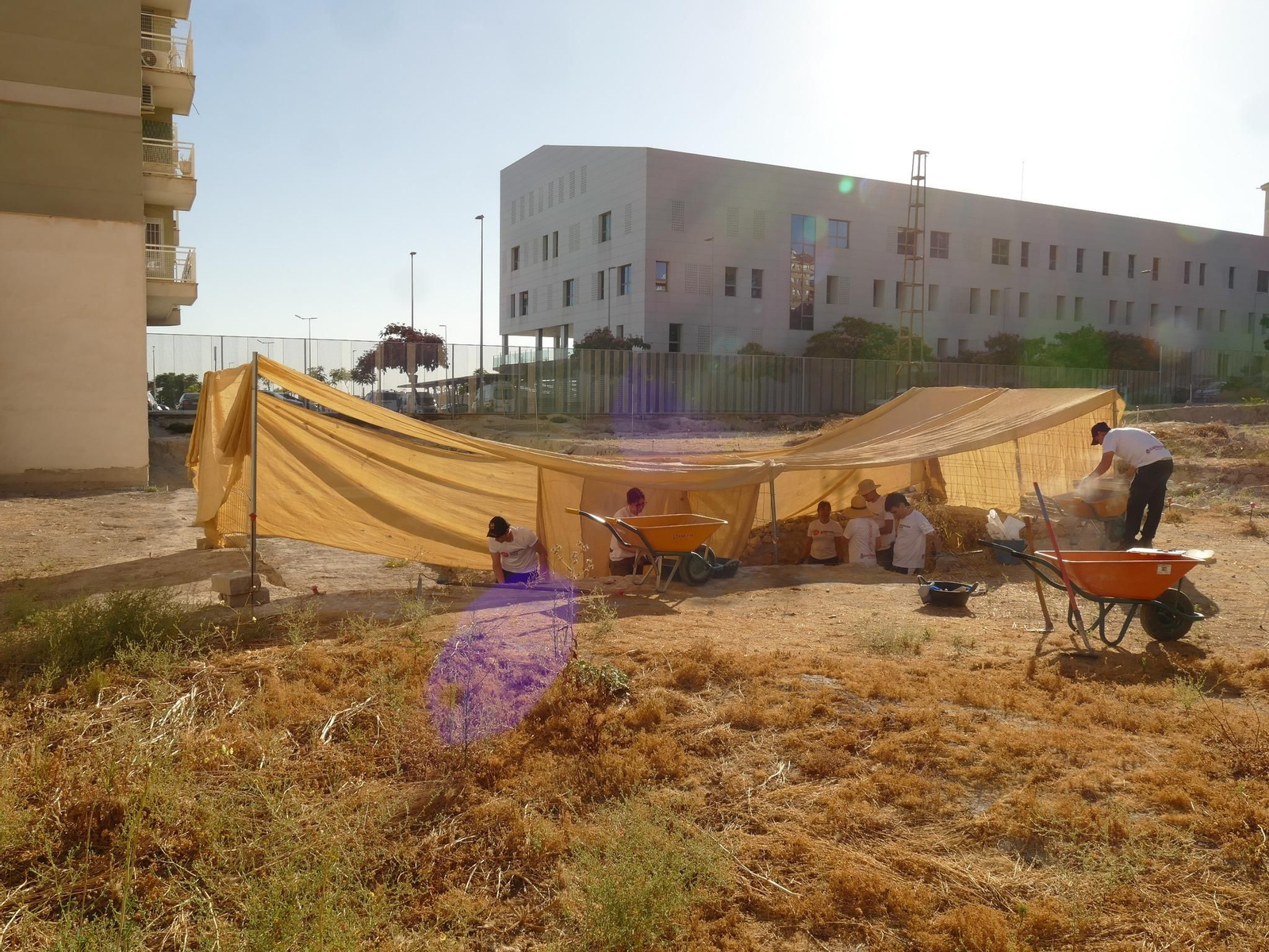 Así está siendo el Campo de Voluntariado de Marroquíes Bajos en 2024