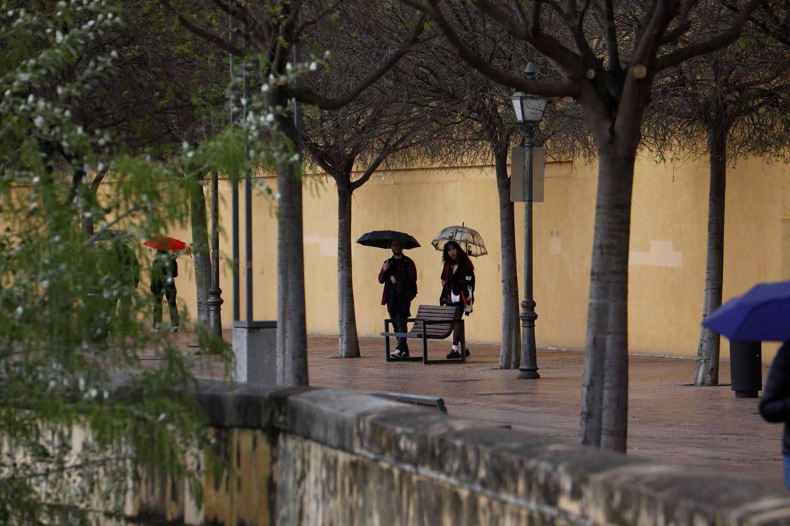 El paso de la borrasca Nuria por Córdoba, en imágenes