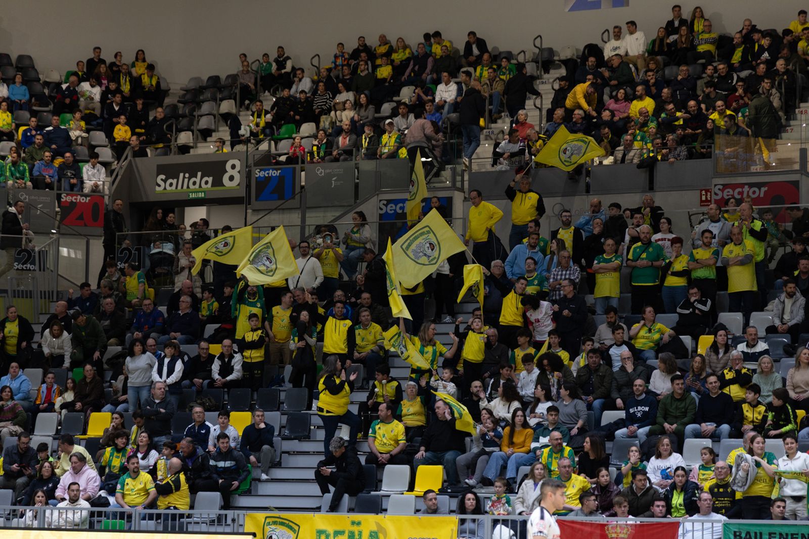 Las mejores imágenes de las tablas entre Jaén Paraíso Interior FS y Noia Portus Apostoli