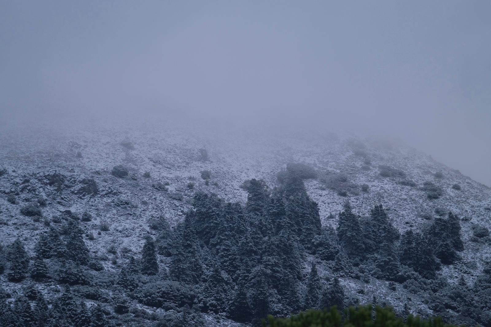 Las fotos de la nieve que cubre Málaga este lunes
