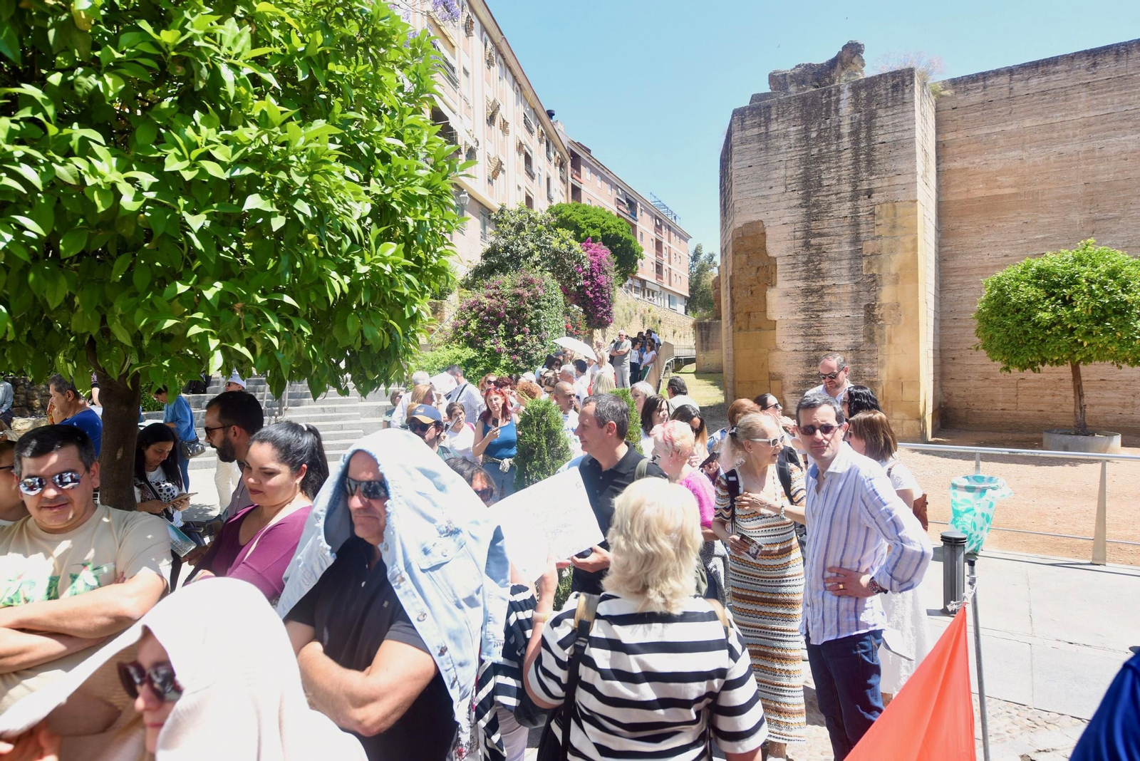 El último sábado de Patios de Córdoba en Alcázar Viejo, en imágenes