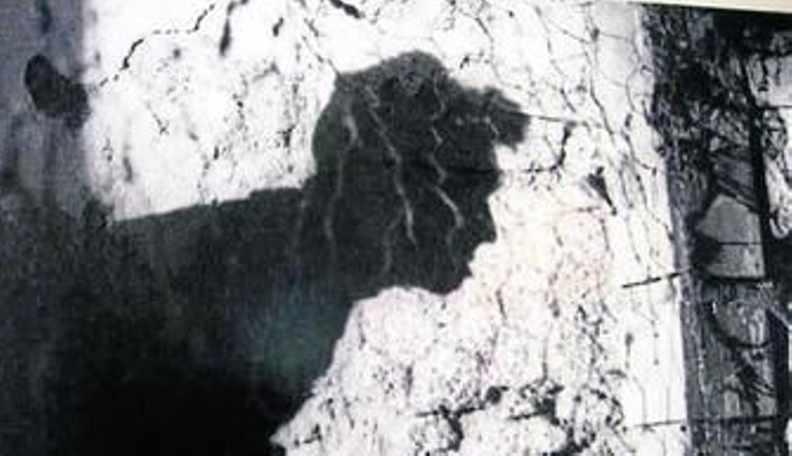 La Academia de Cine exhibirá el 'Tríptico de España' de Val del Omar