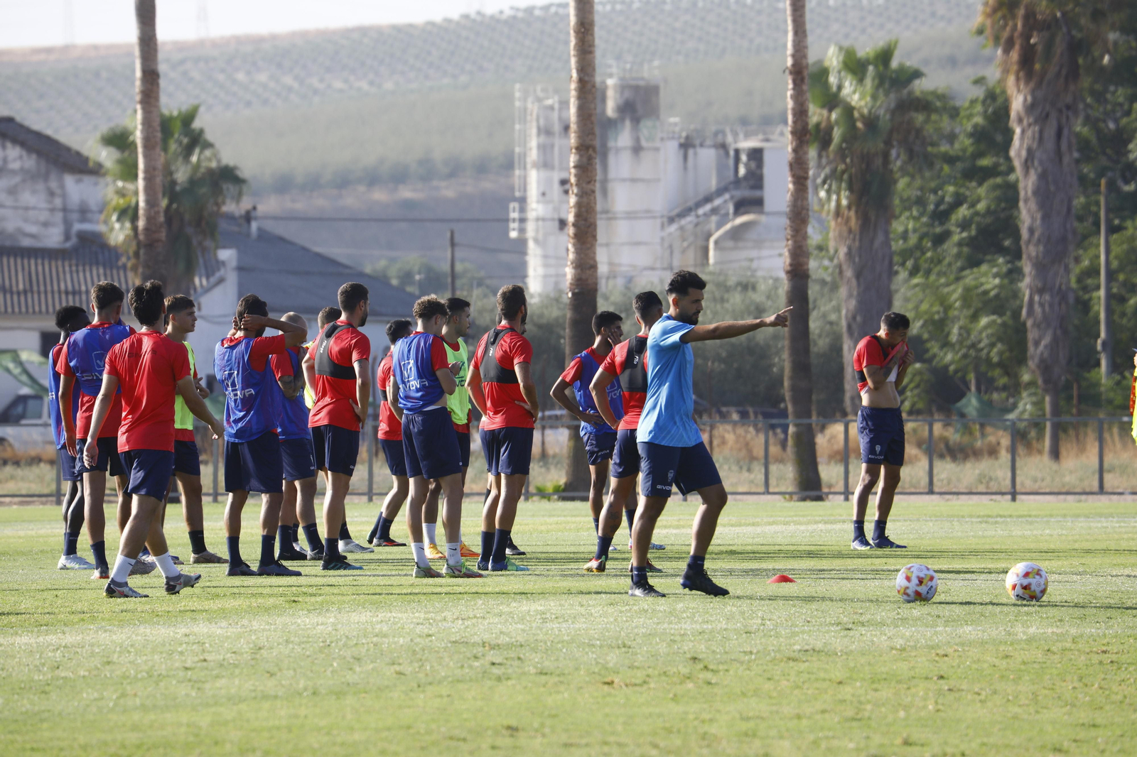Entrenamiento del Córdoba CF en la Ciudad Deportiva. Entrenamiento del Córdoba CF en la Ciudad Deportiva.