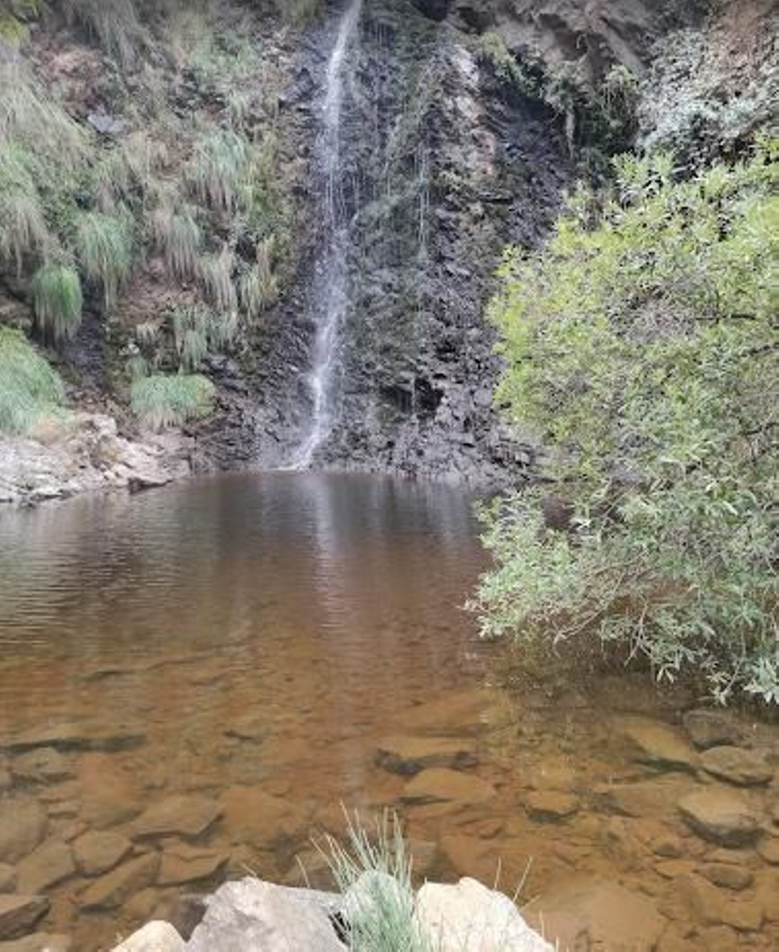 La cascada del sendero.