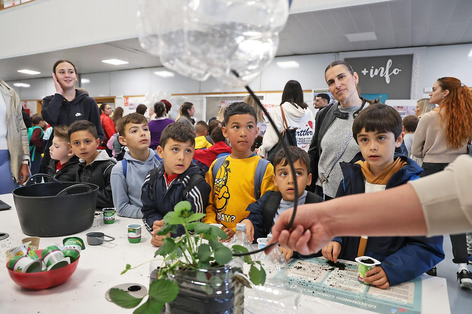 Imágenes de la Primera Edición de la Feria de la Ciencia de Huelva