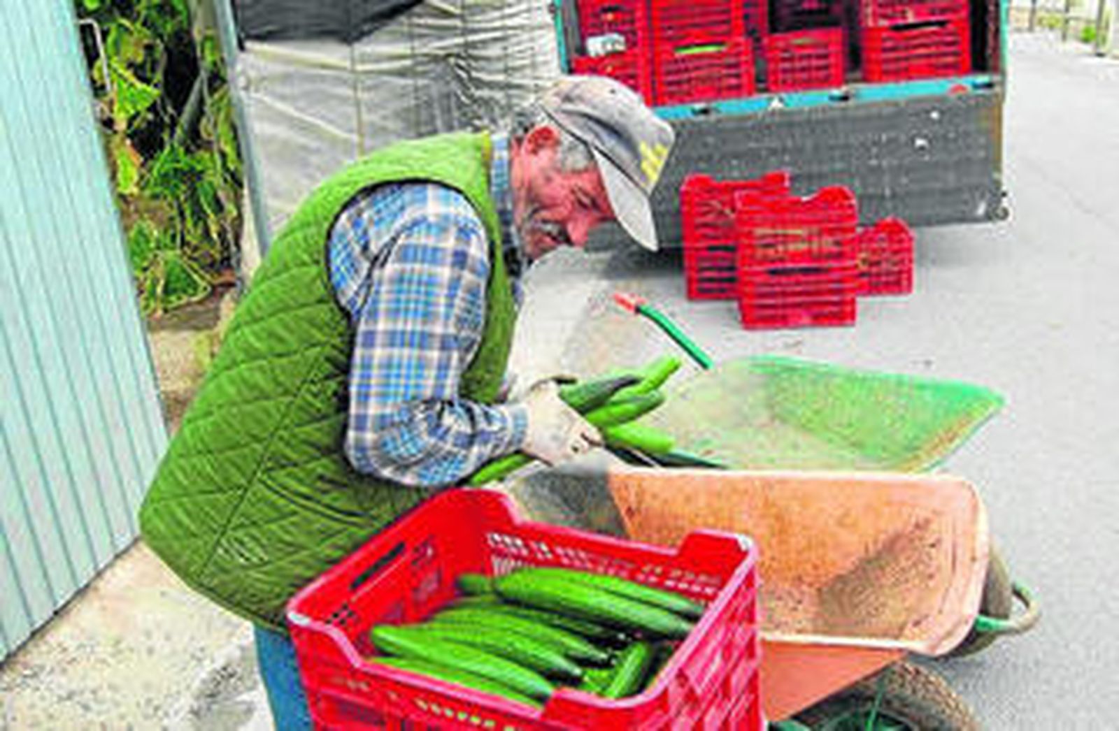 El 25-M concurre el Partido Hortofrutícola Andaluz (PHAN).