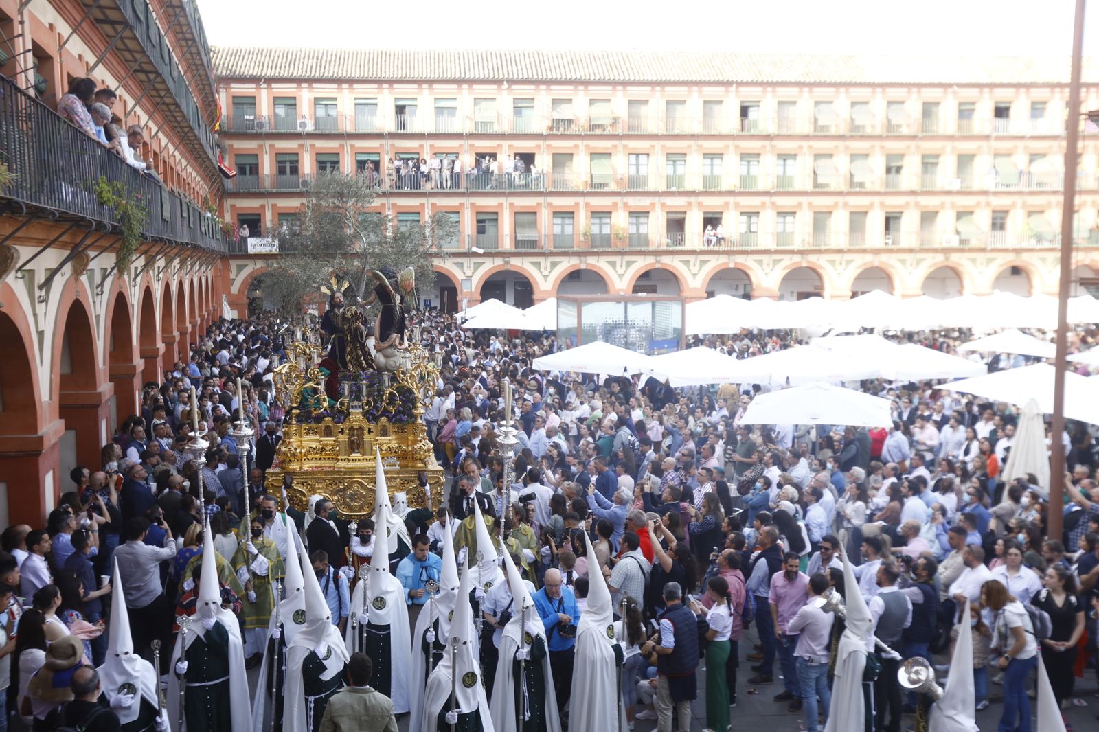 Domingo de Ramos en Córdoba: La procesión del Huerto, en imágenes