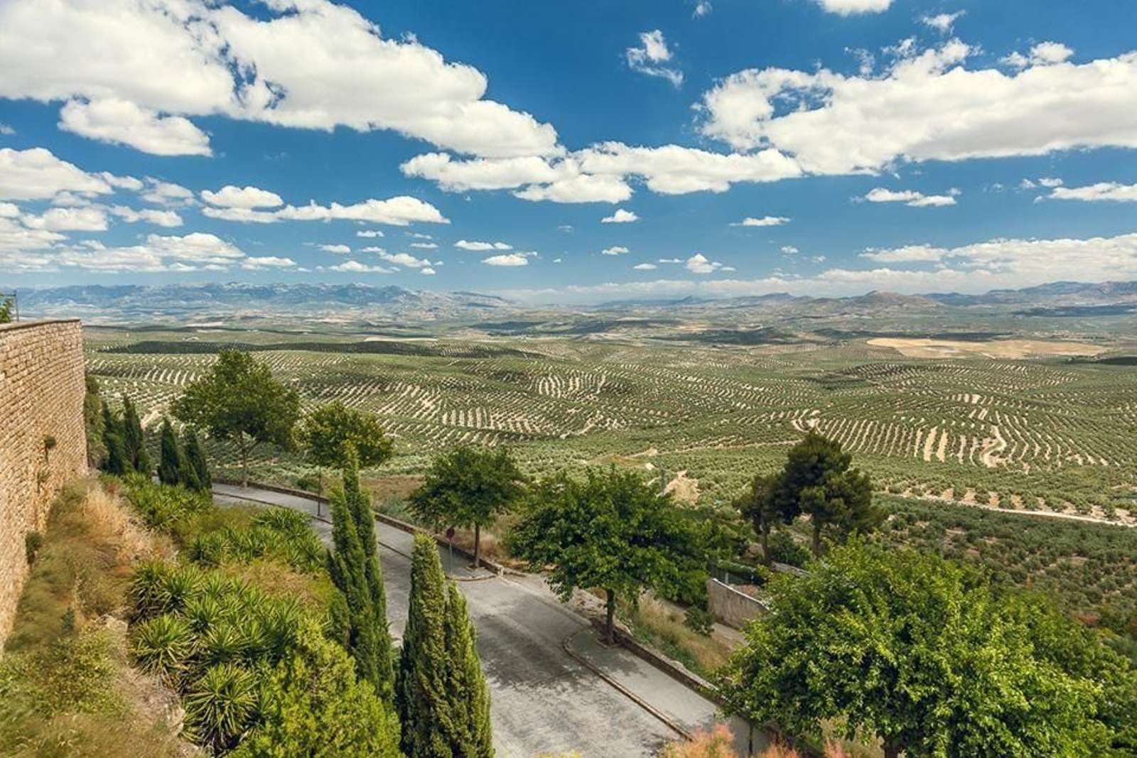Vista panorámica de los conocidos como 'Cerros de Úbeda'. Vista panorámica de los conocidos como 'Cerros de Úbeda'.