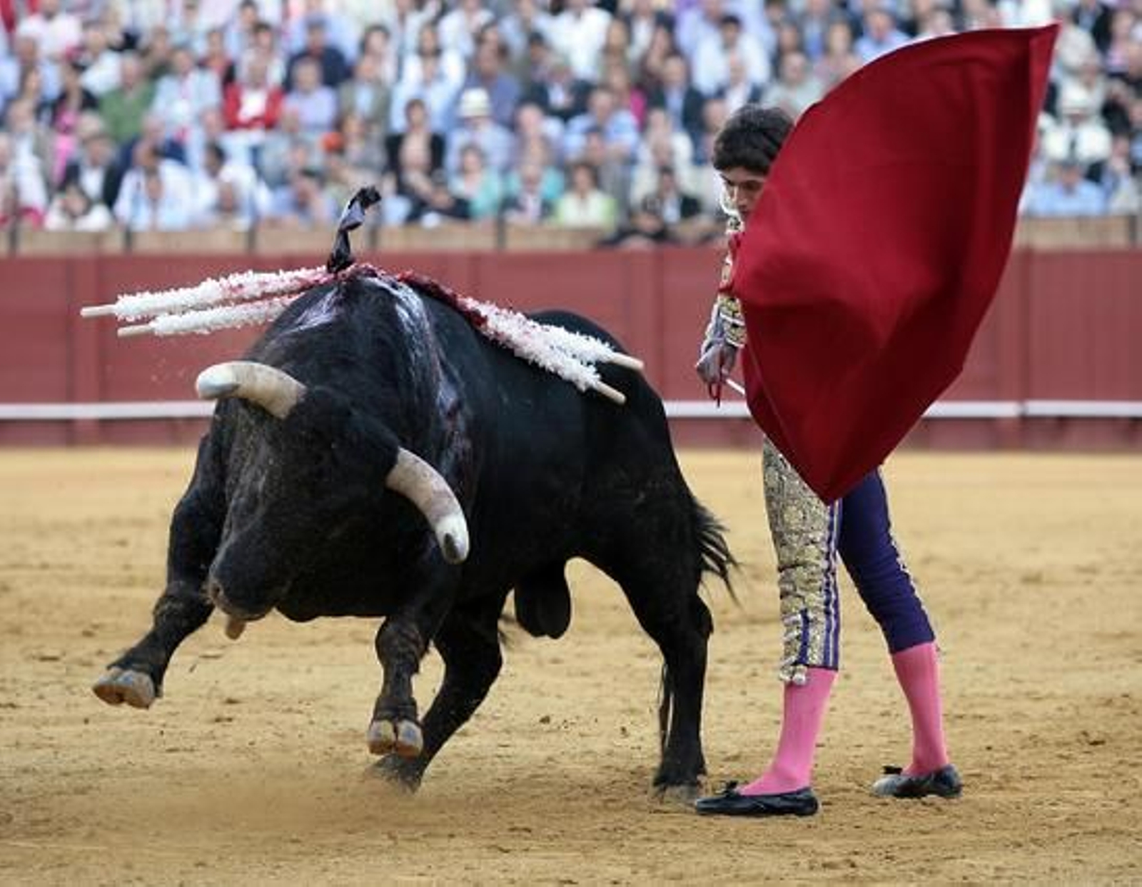 Foto: Juan Carlos Muñoz