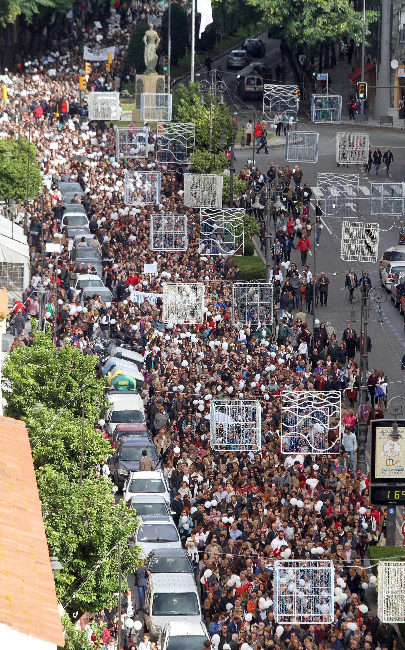 Manifestación por una sanidad pública digna