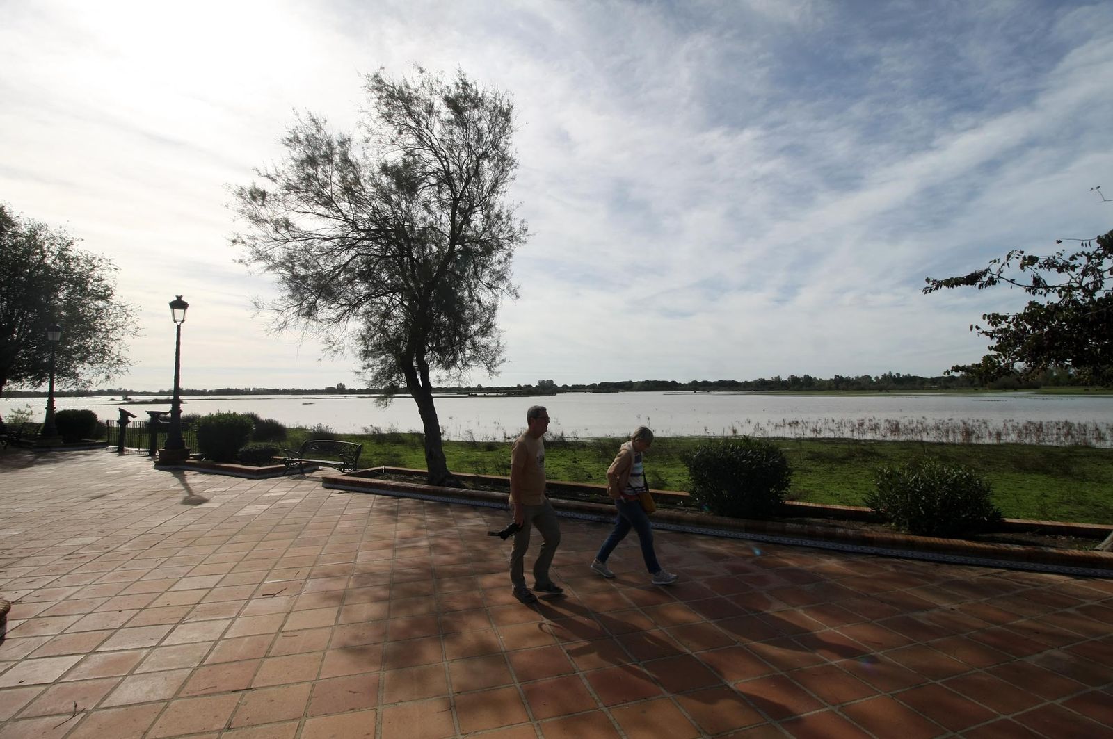 Imágenes de la marisma de El Rocío y de la laguna de El Portil tras las últimas lluvias