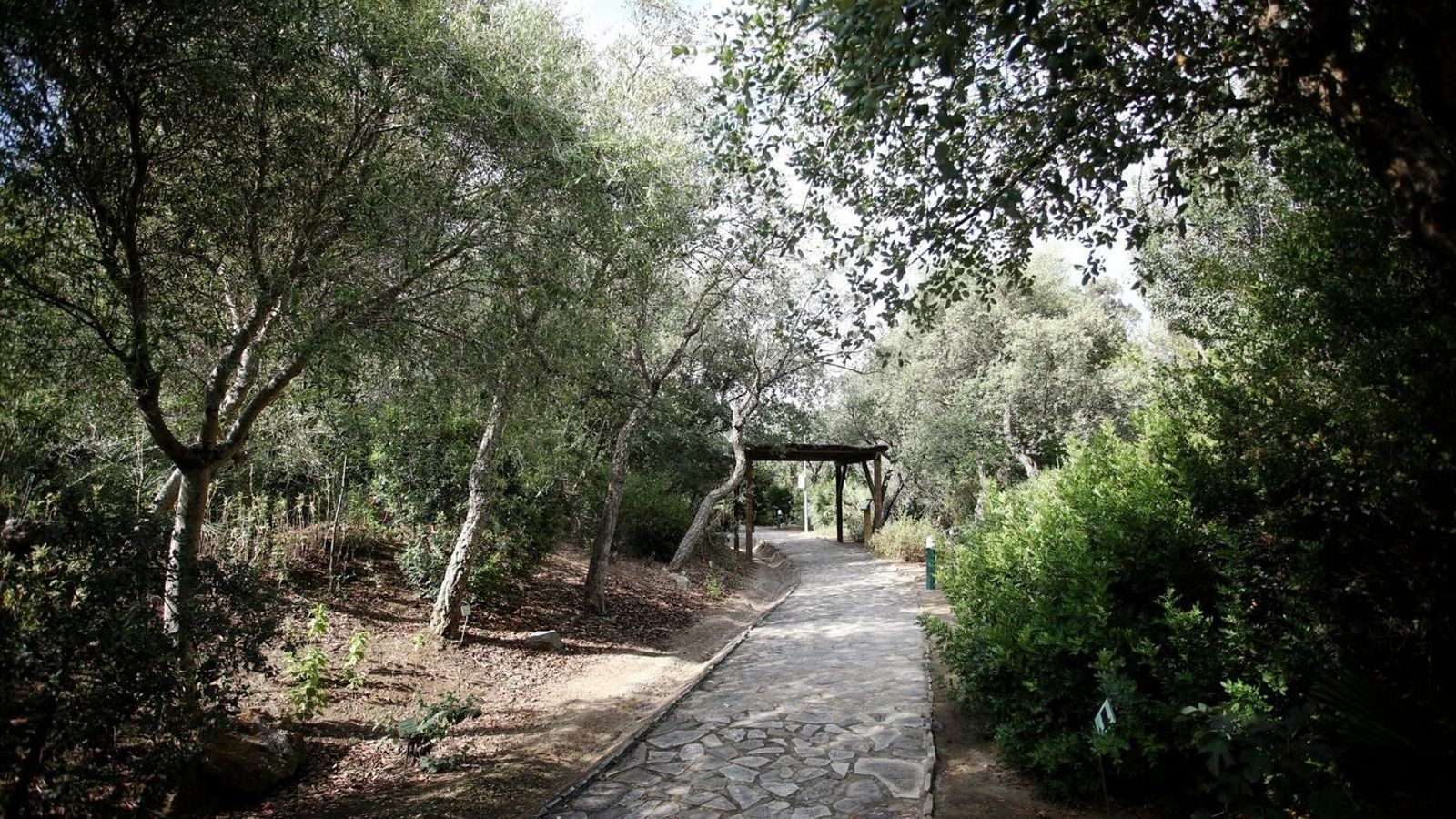 Uno de los senderos del jardín botánico.