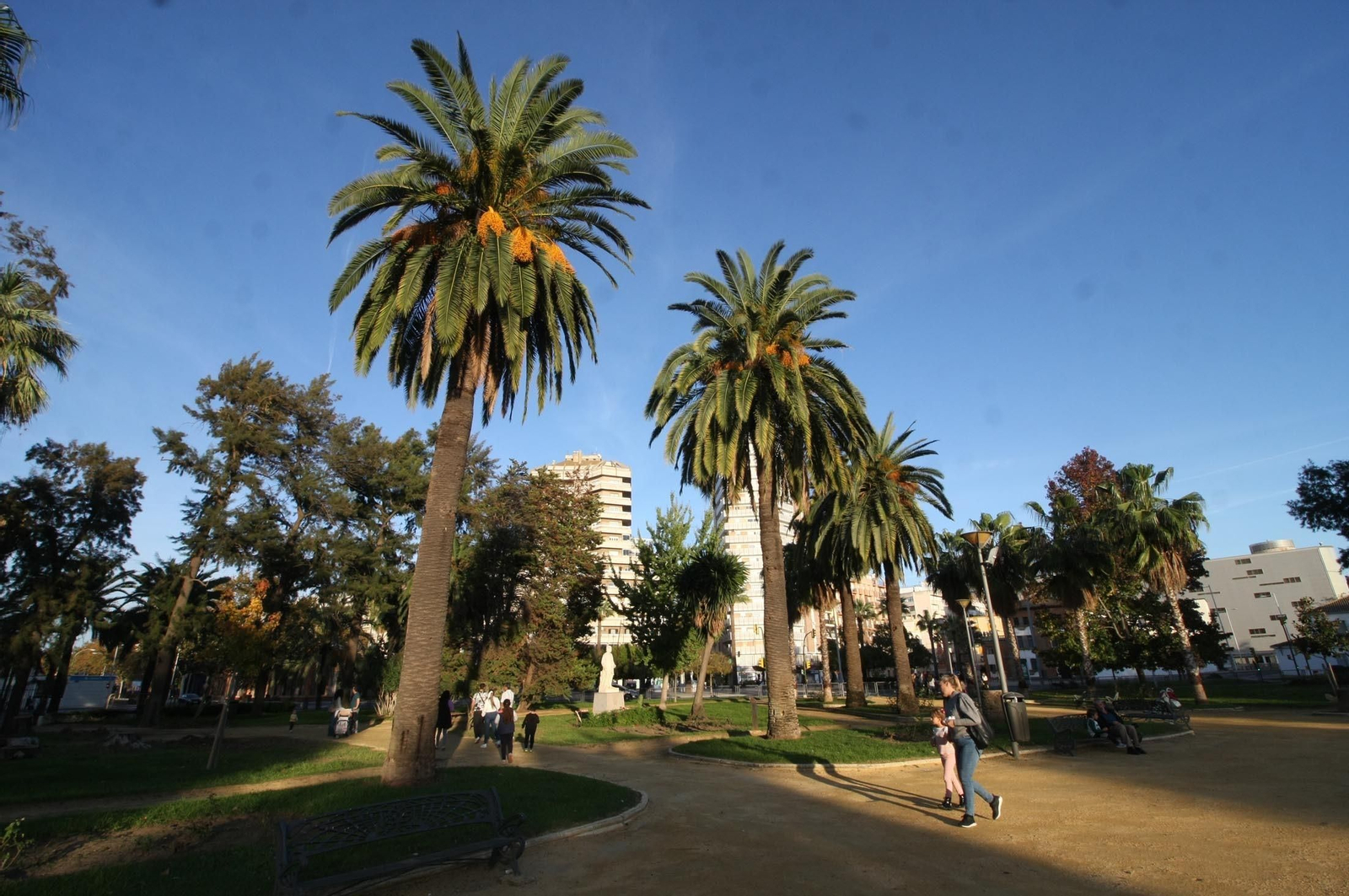 Imágenes del sábado 11 de noviembre en Huelva