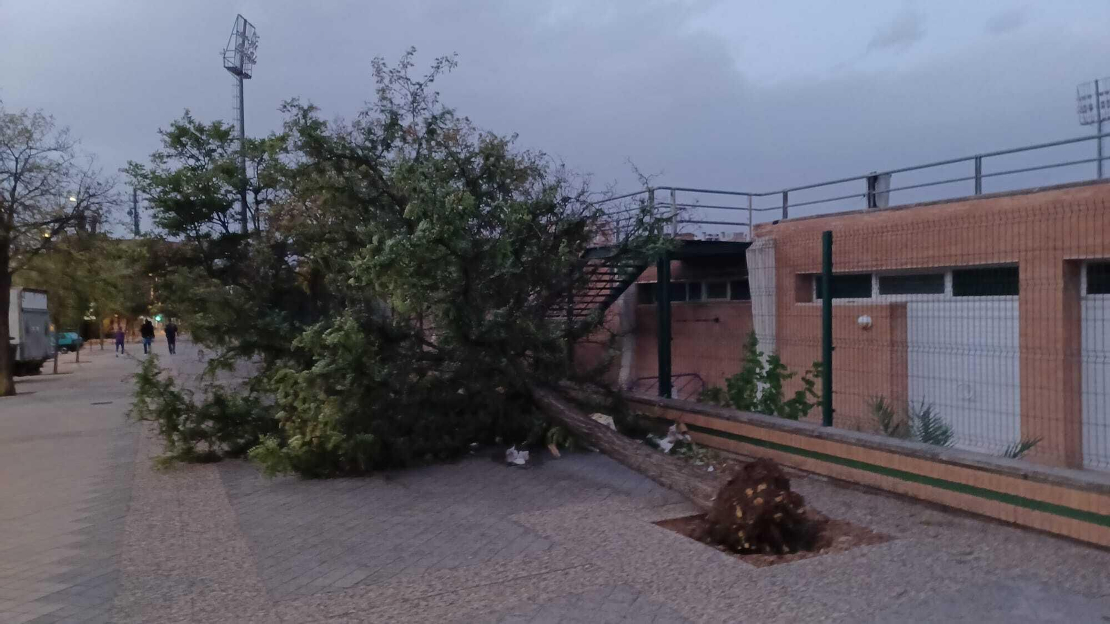 Fotos: así está siendo el fuerte viento de la borrasca Bernard en Granada