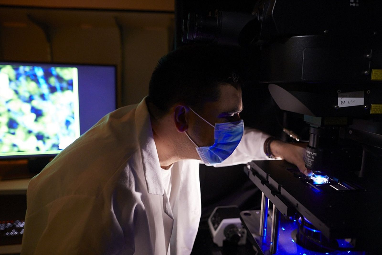 El español Jose Javier Bravo-Cordero ha publicado en Nature Cancer los avances de su grupo del Mount Sinaí neoyorkino.