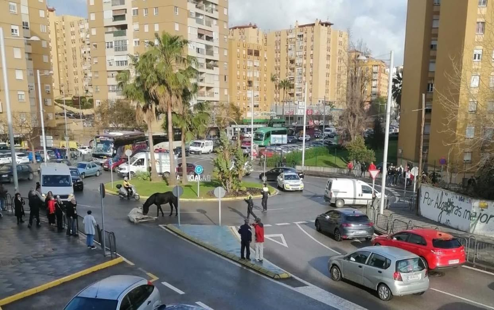 Caos por dos caballos desbocados en Algeciras