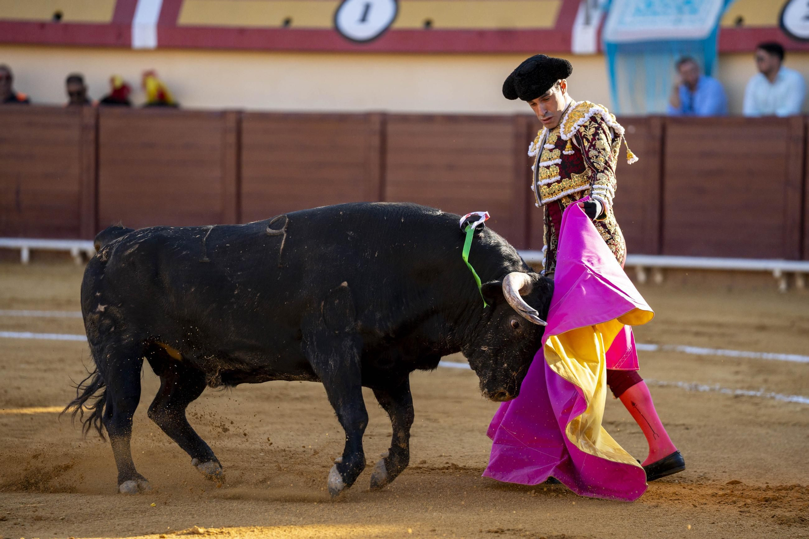 Las imágenes de los toros en Vera