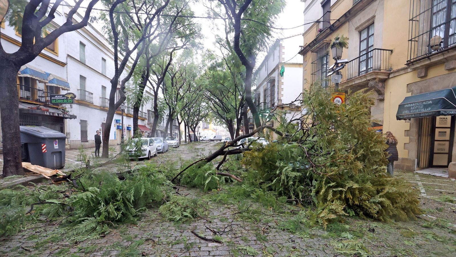 Las lluvias y el viento causados por las últimas borrascas en Jerez han dejado numerosos estragos por la ciudad