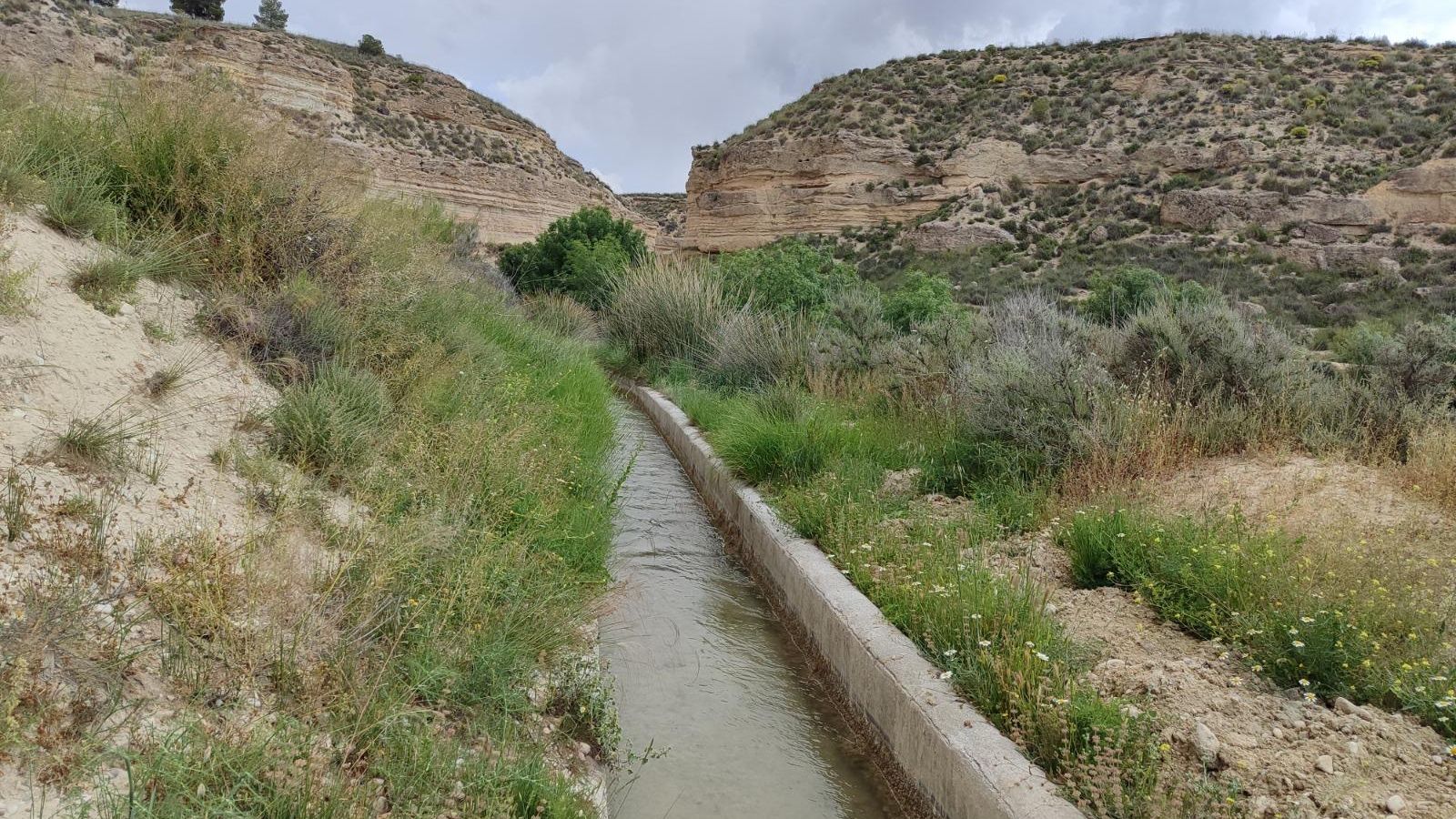Acequia de los Molinos