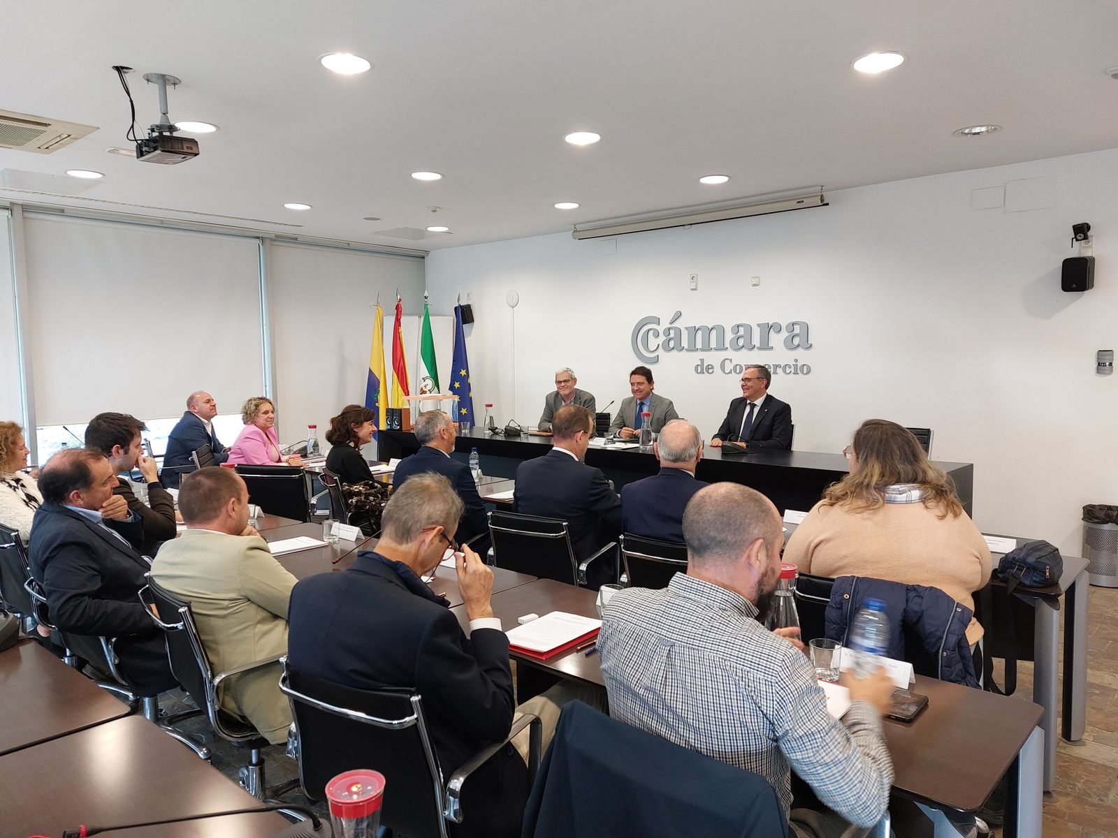 El Pleno de la Cámara de Comercio del Campo de Gibraltar.