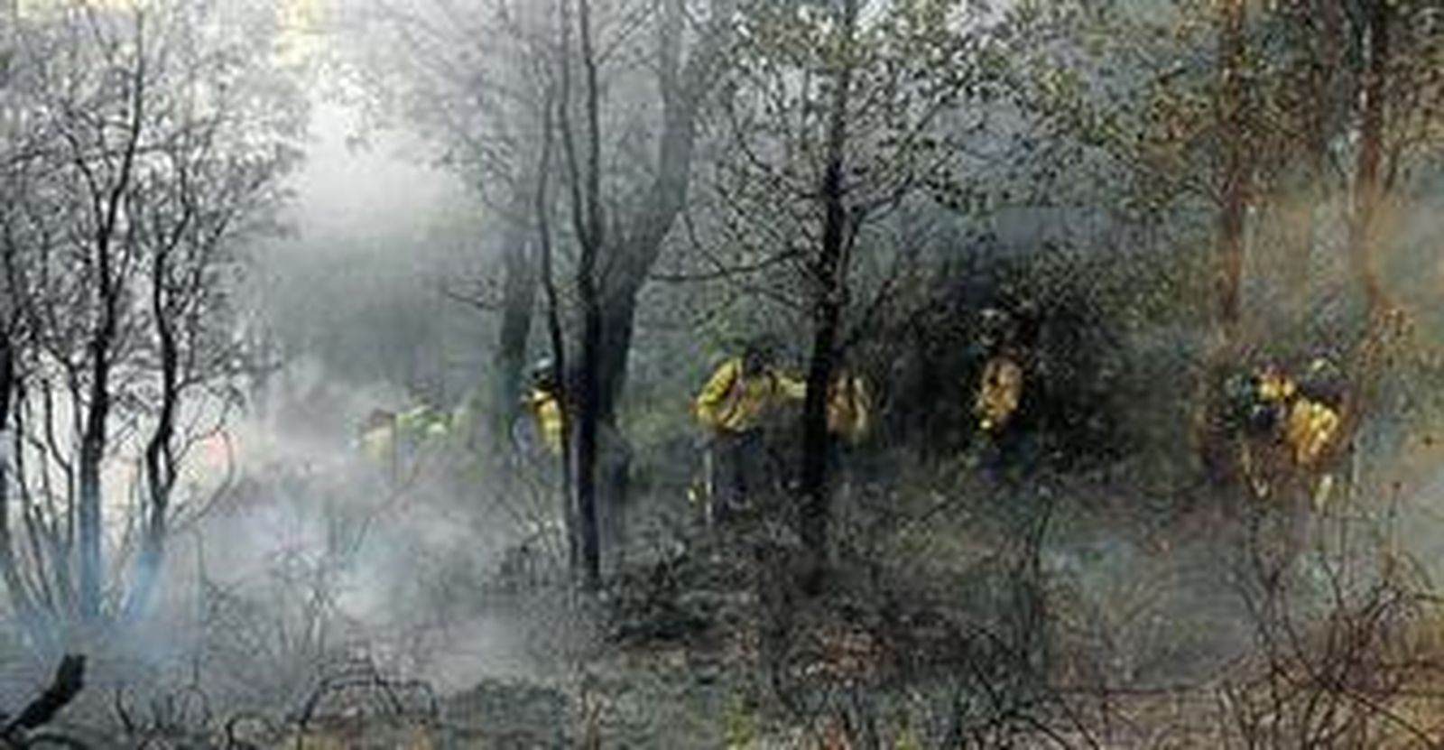 Personal antiincendios y del Ejército durante la lucha con el fuego en febrero de este año.