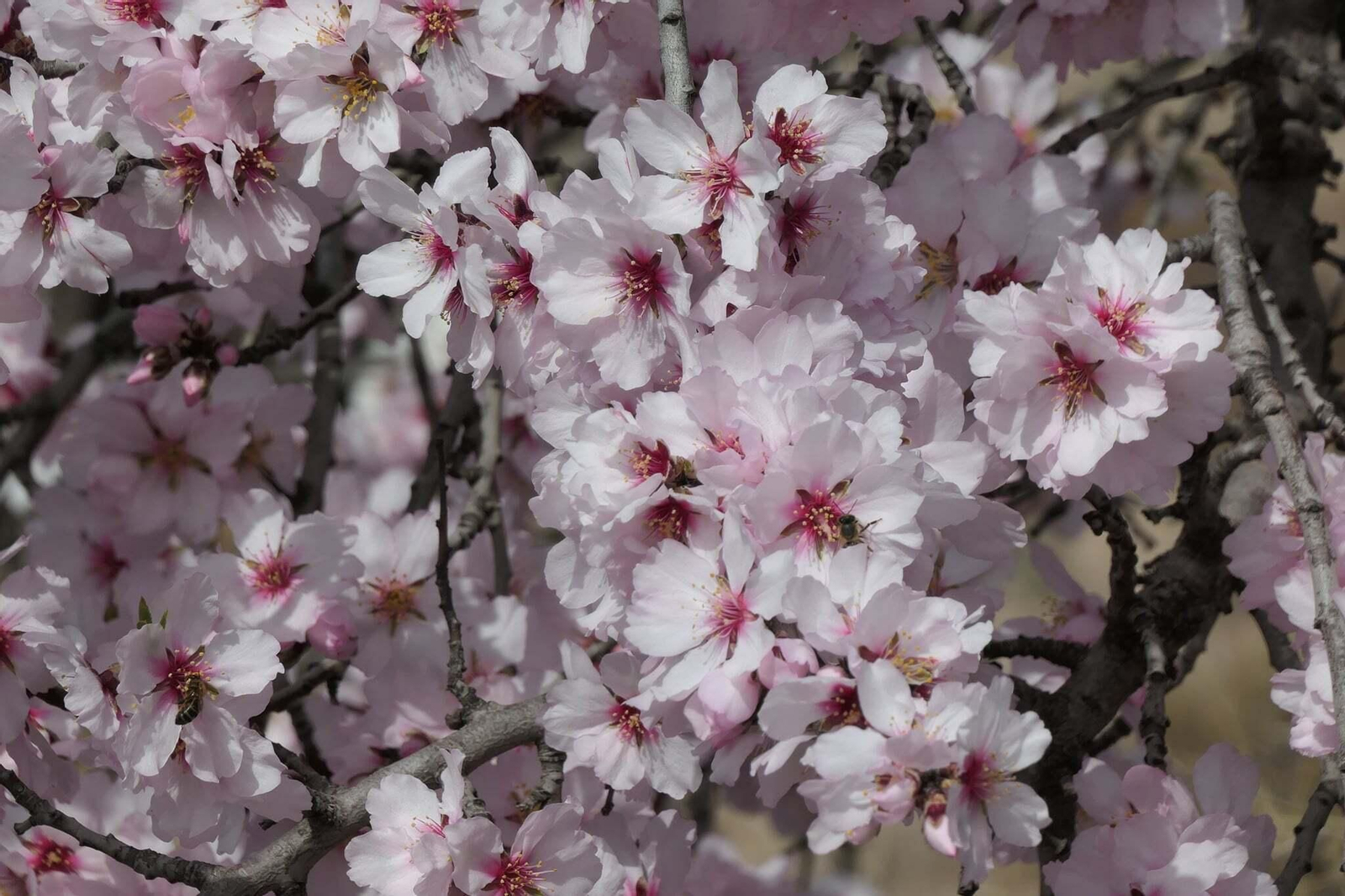 ¿Recomiendas otro pueblo?