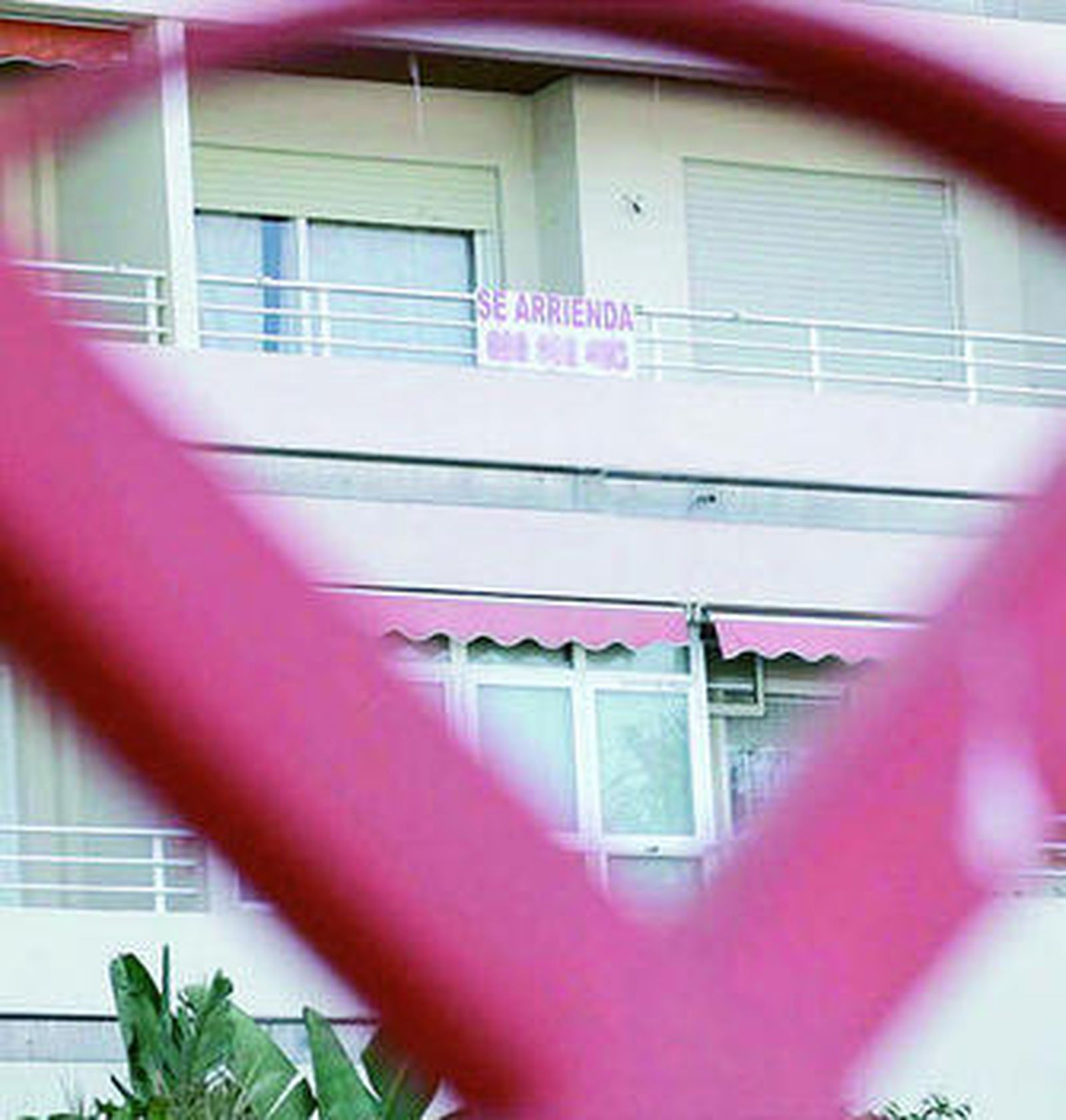 Sólo el 5% de los pisos en alquiler cumplen las expectativas.