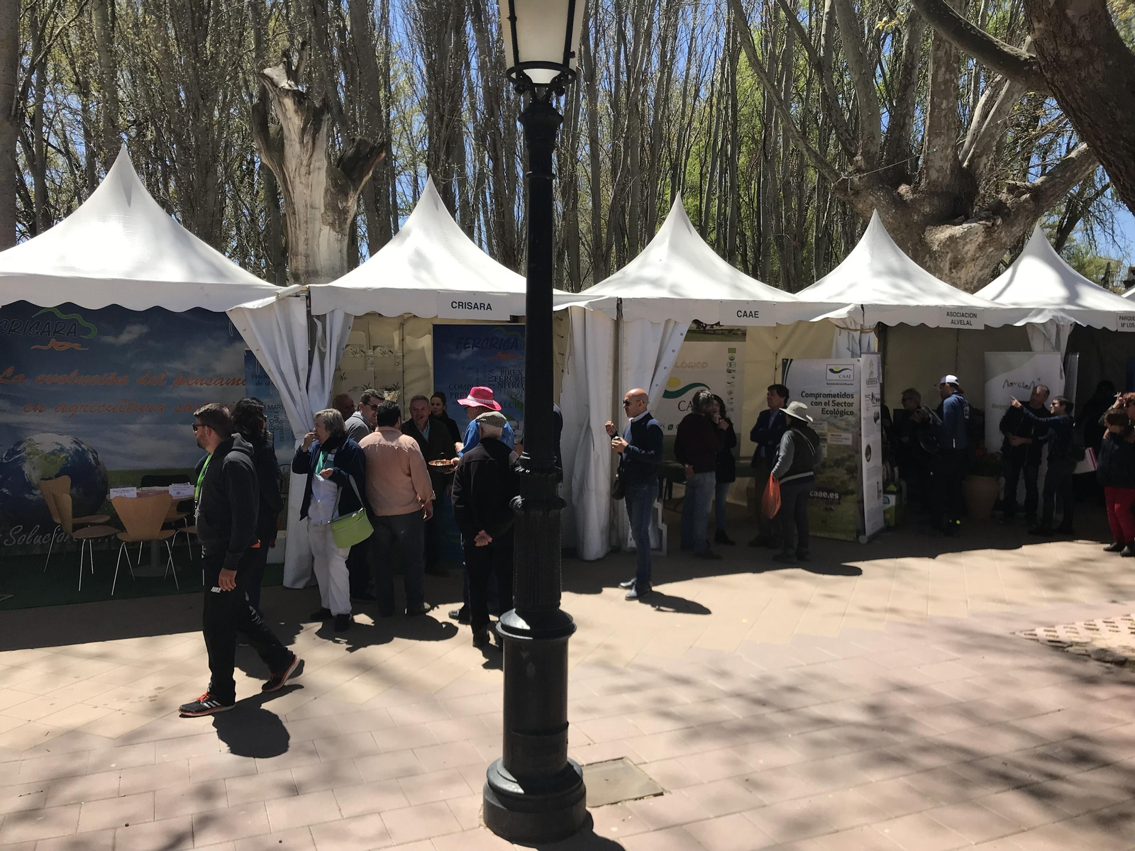 Imágenes de Terracultura 2019, en Chirivel