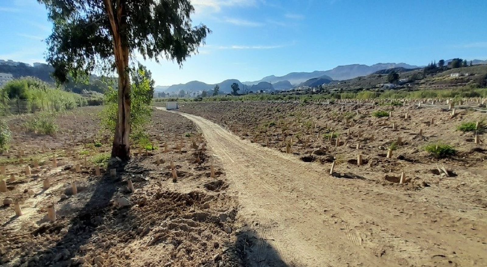 Se están ejecutando actuaciones en Albox, Líjar, Berja y Castro de Filabres