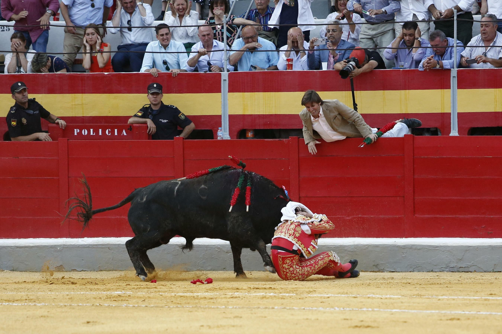 Las mejores imágenes de los toros en el Corpus