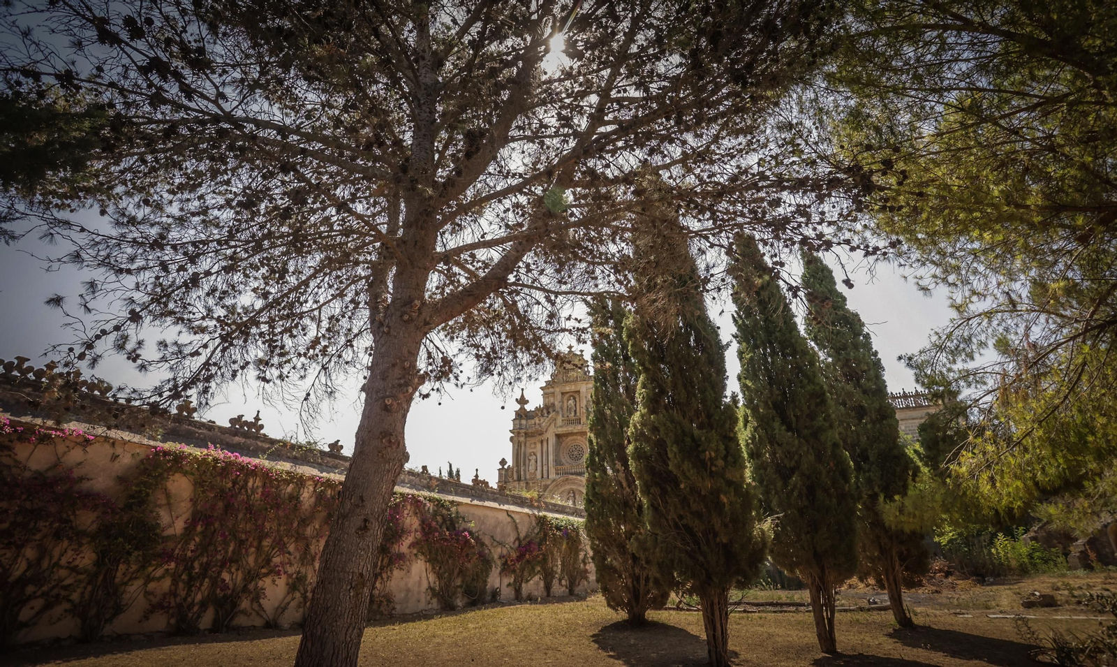 Así es La Cartuja de Jerez, en imágenes