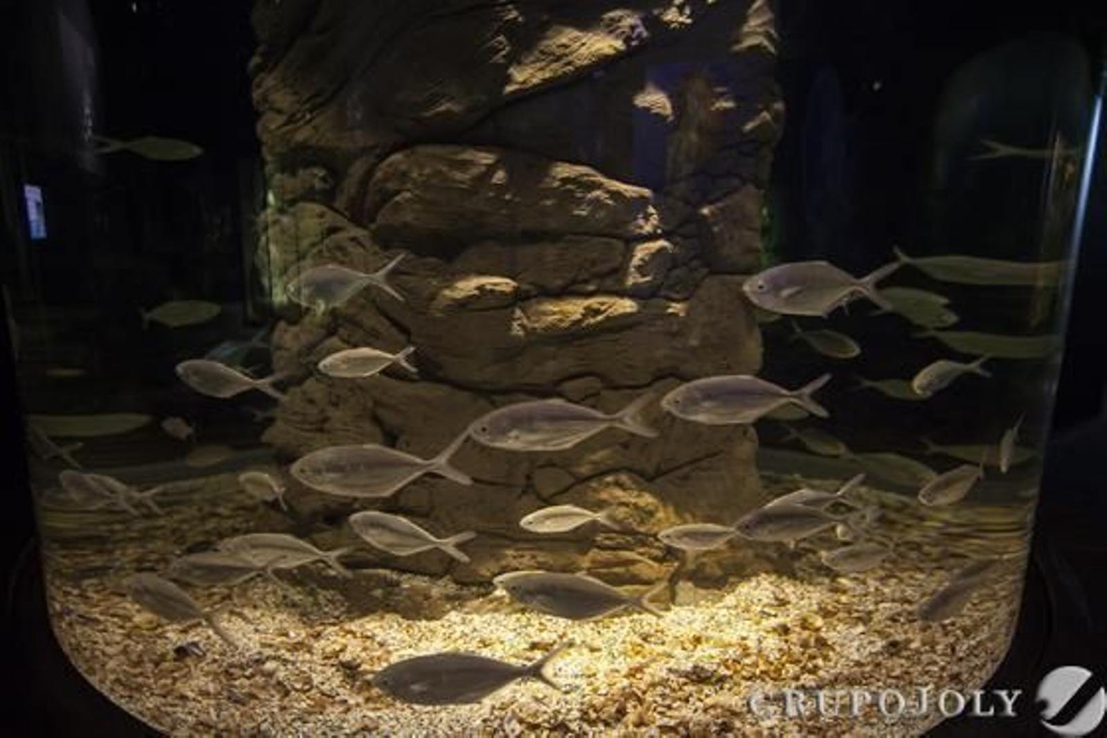 Foto: Antonio Pizarro