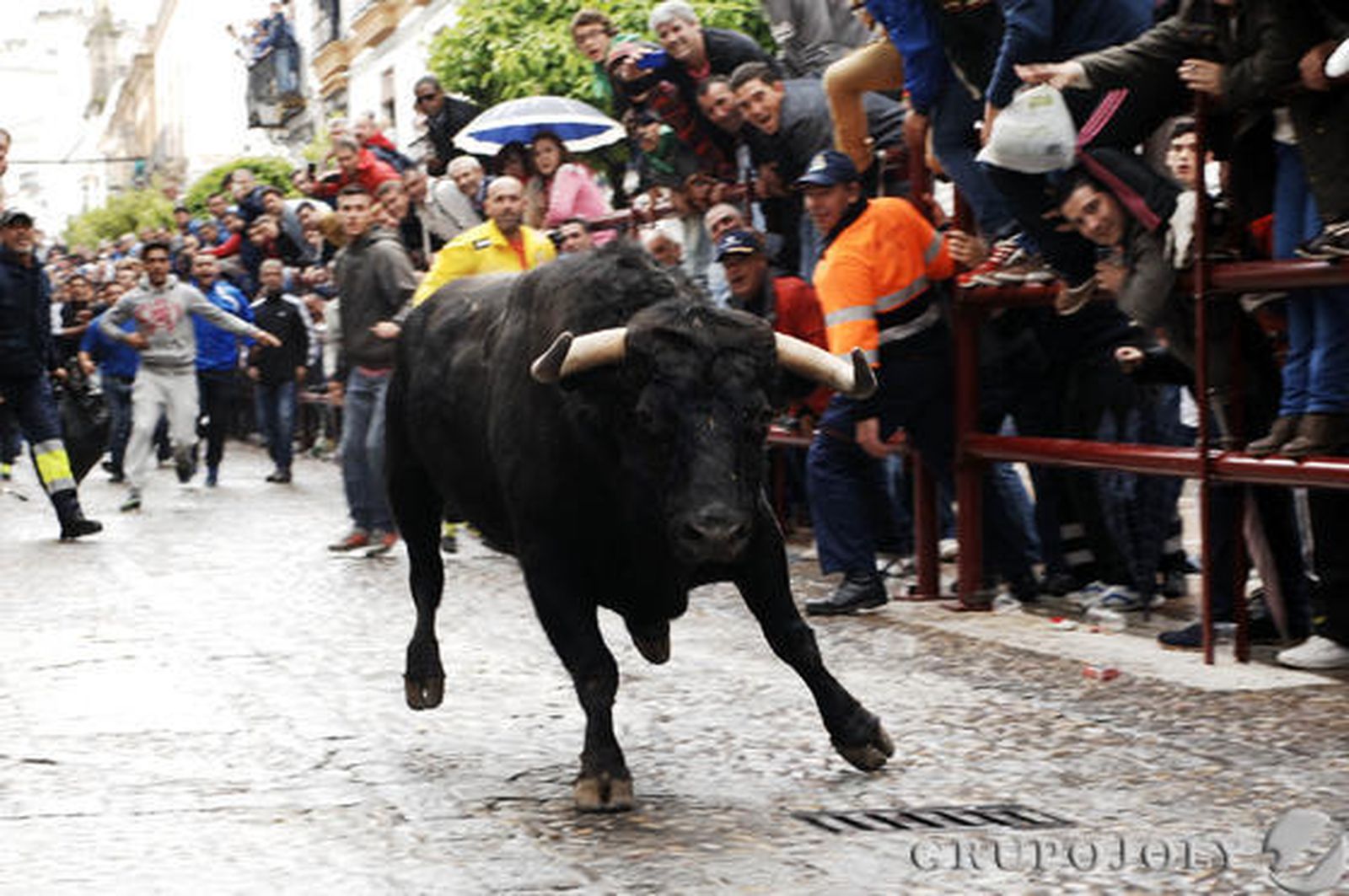 Un hombre resultó herido grave por una fuerte cornada en el abdomen en Arcos. Vejer, Paterna o Benamahoma también vivieron su fiesta

Foto: Ramon Aguilar