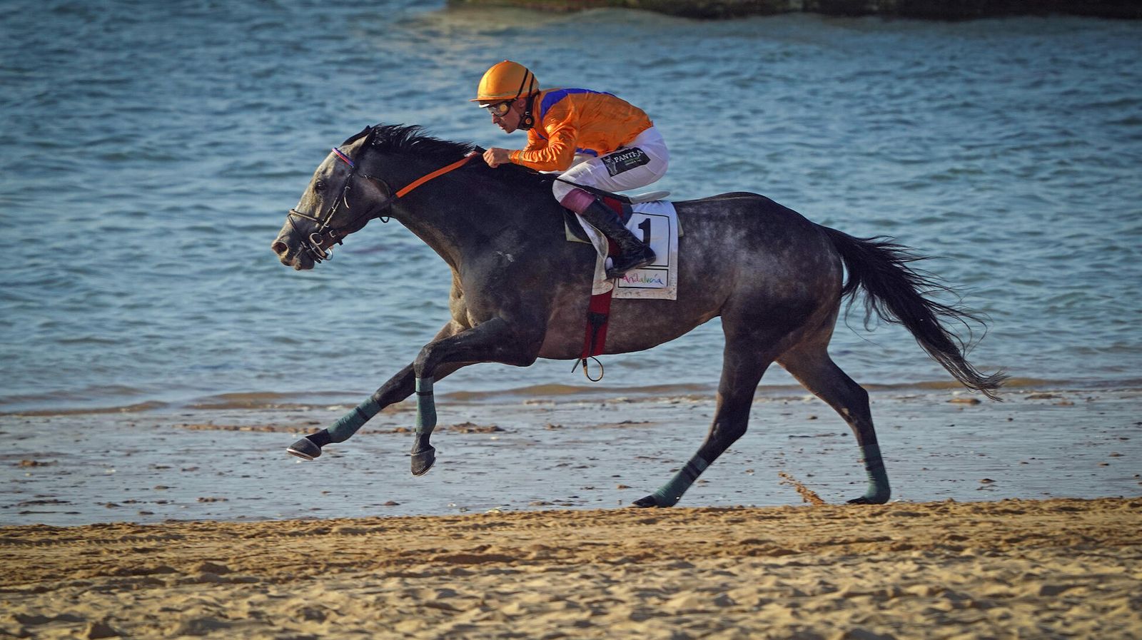 Ricardo Sousa, a lomos de 'Iron Duke' en el Gran Premio de Andalucía.