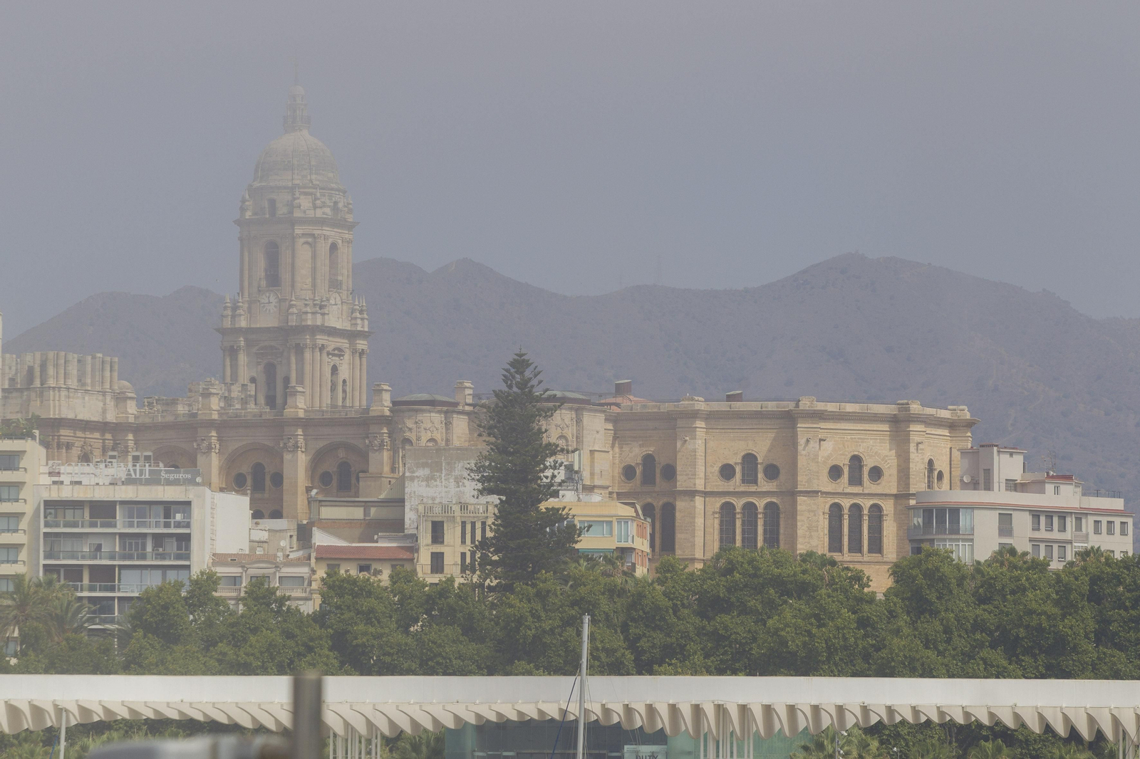 El taró provoca la prohibición del baño en las playas de Málaga, en imágenes