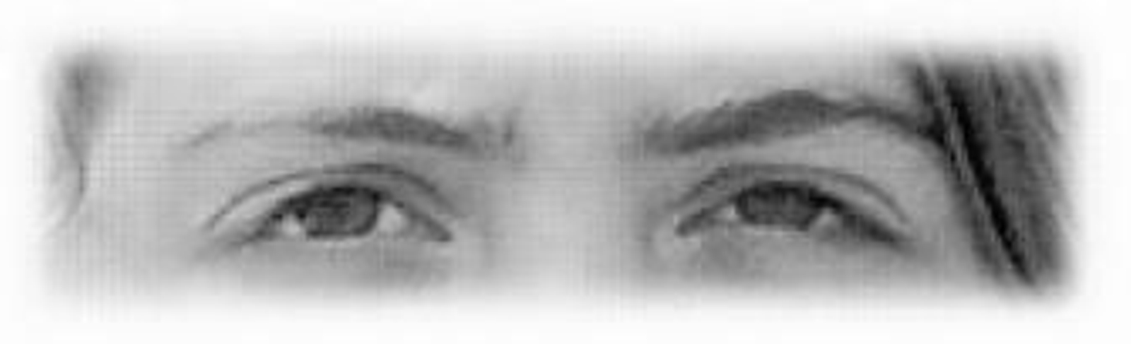 Una instrucción malograda