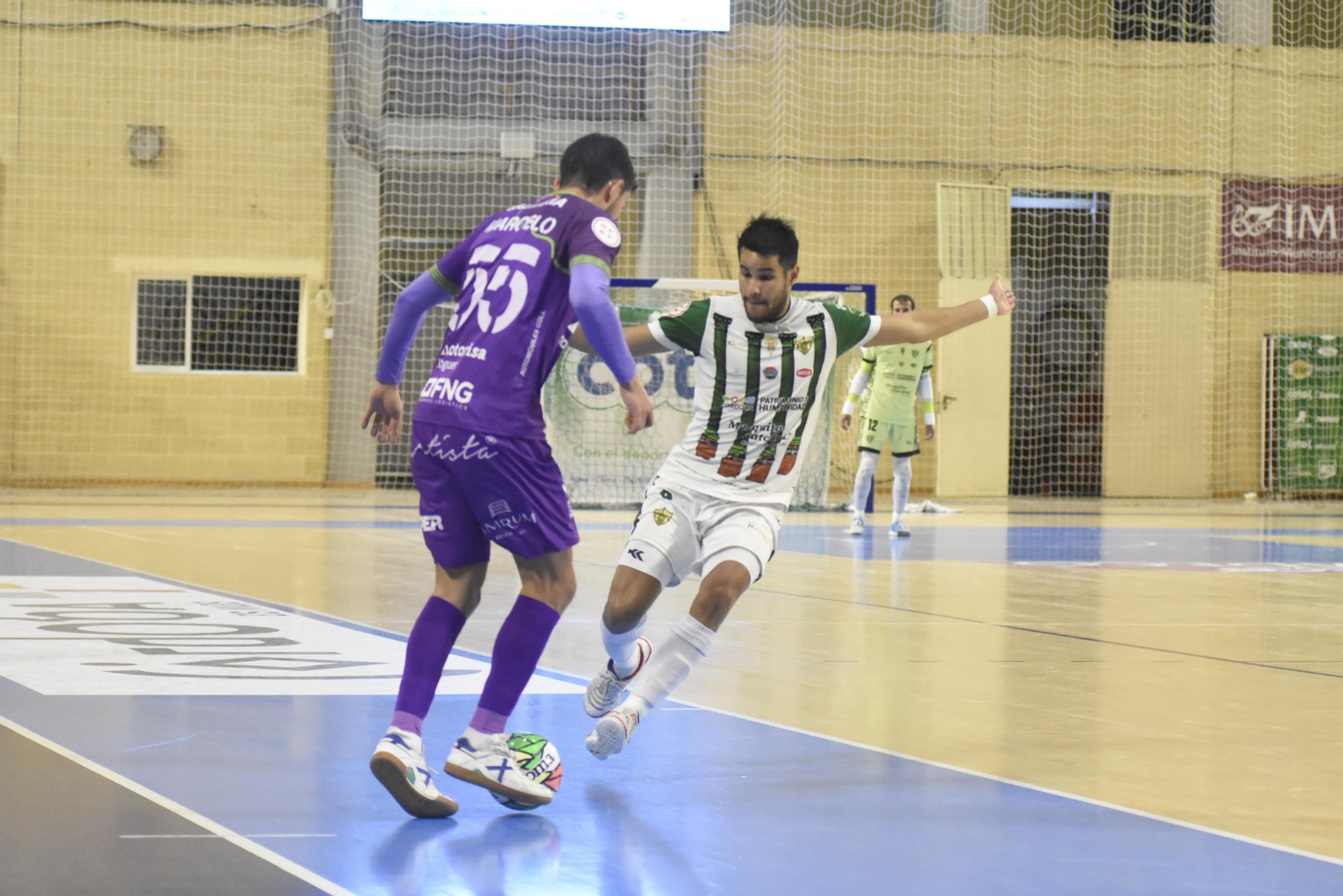 La derrota del Córdoba Futsal ante el Palma Futsal, en imágenes