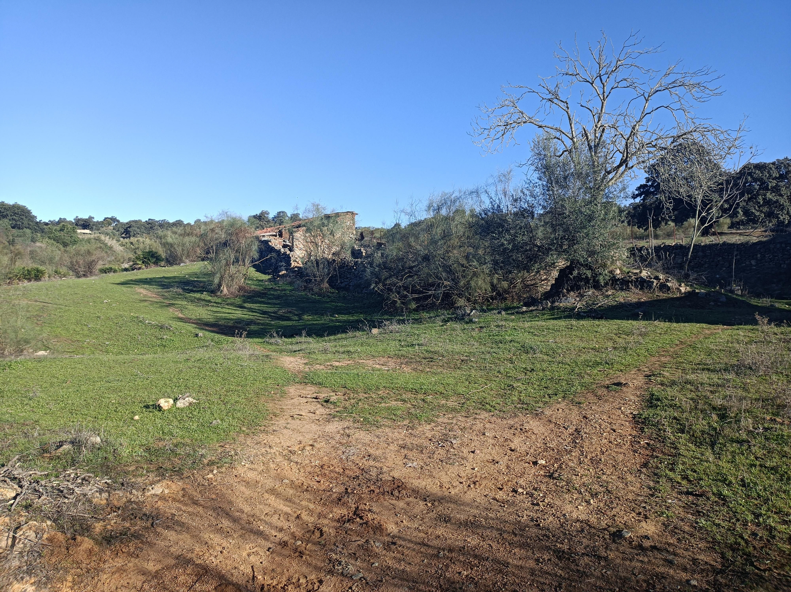 Ruta de Las Cañadillas